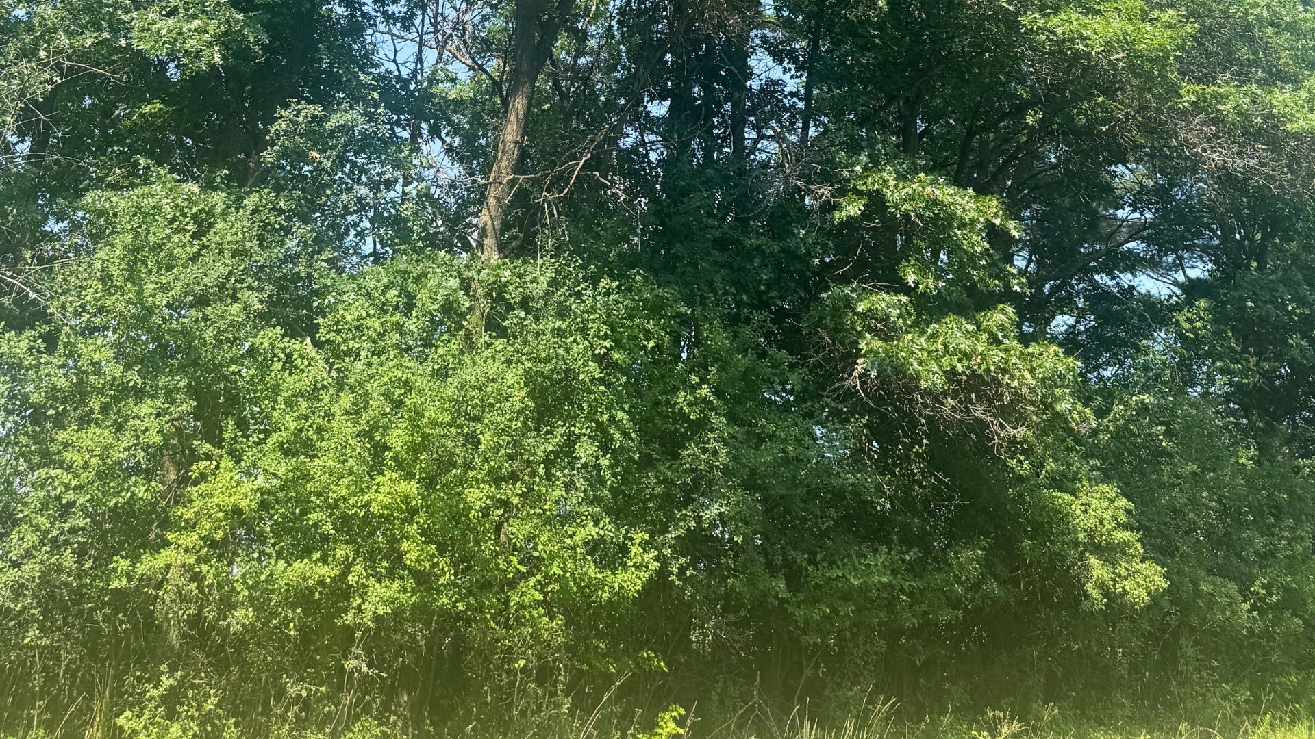 Xx State Highway 79 Property Photo 47