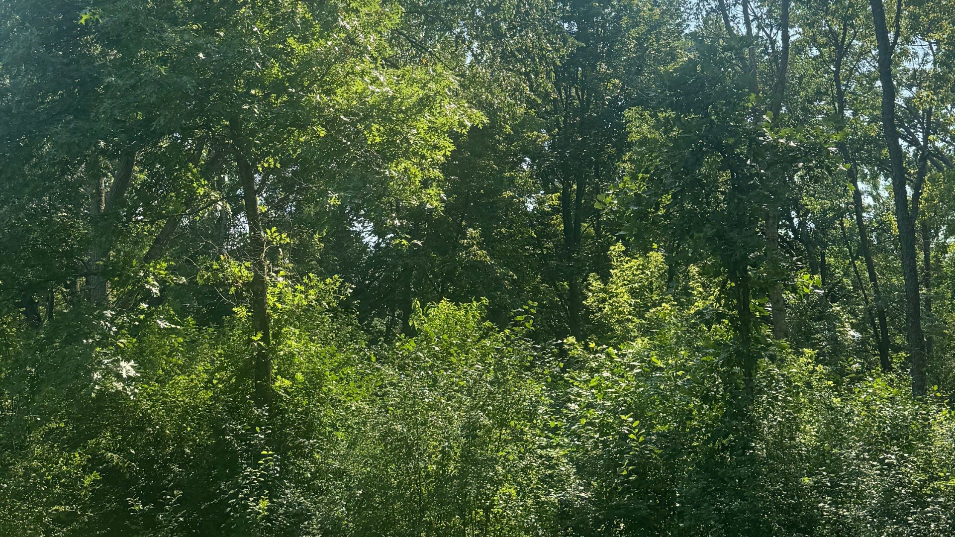 Xx State Highway 79 Property Photo 50