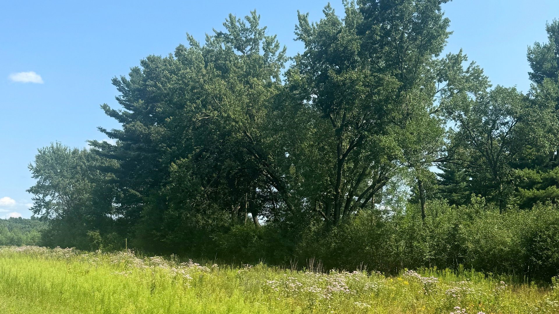 Xx State Highway 79 Property Photo 51