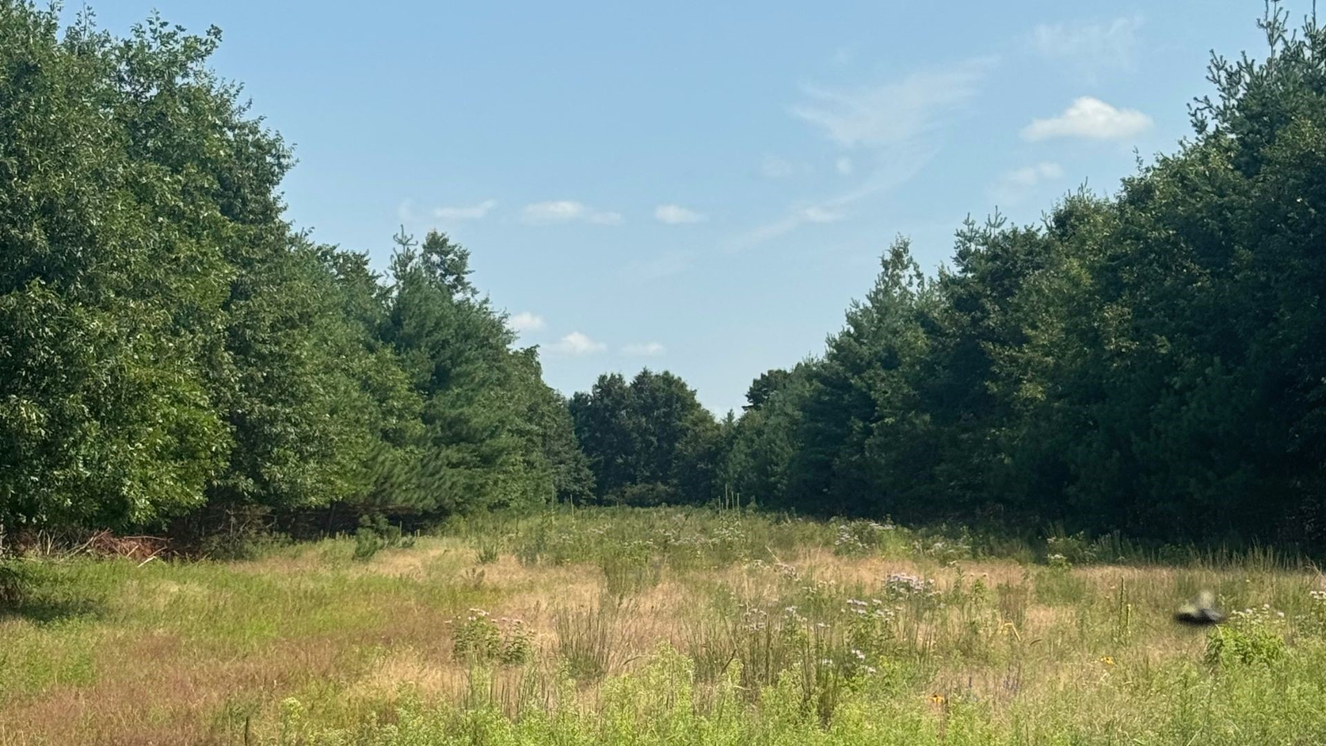 Xx State Highway 79 Property Photo 55