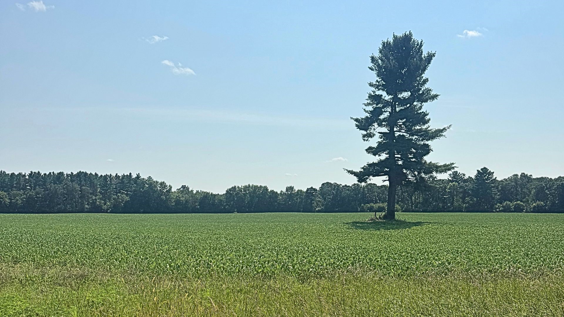 Xx State Highway 79 Property Photo 58