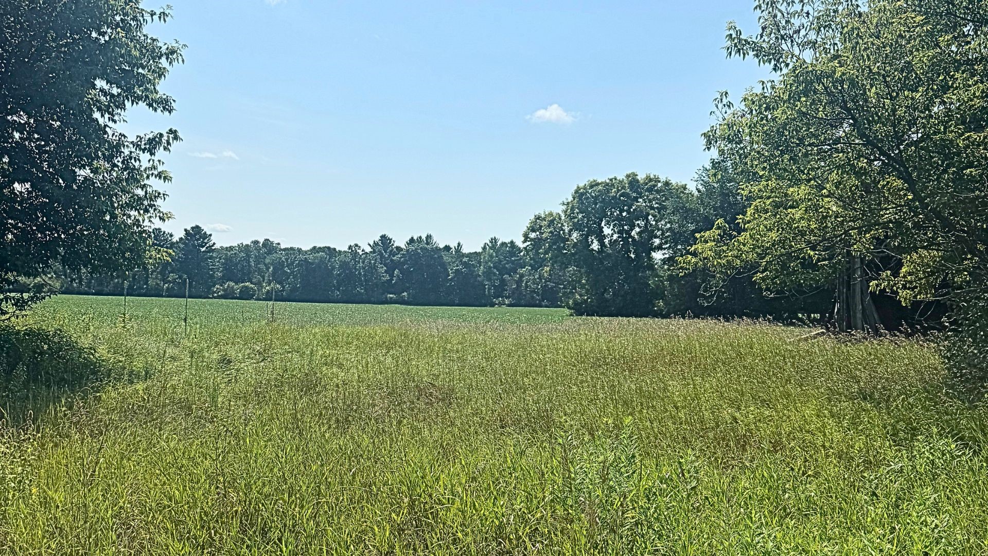 Xx State Highway 79 Property Photo 59