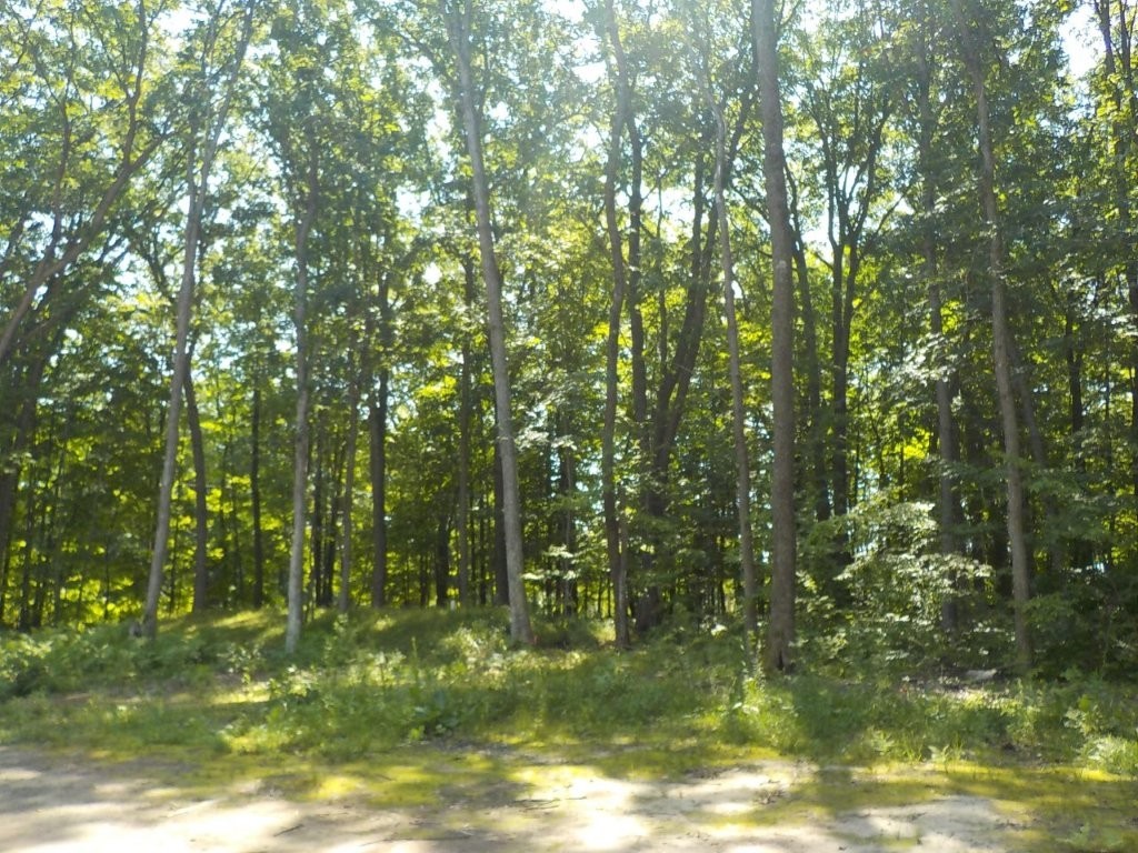 3307 30th Street Property Photo 5