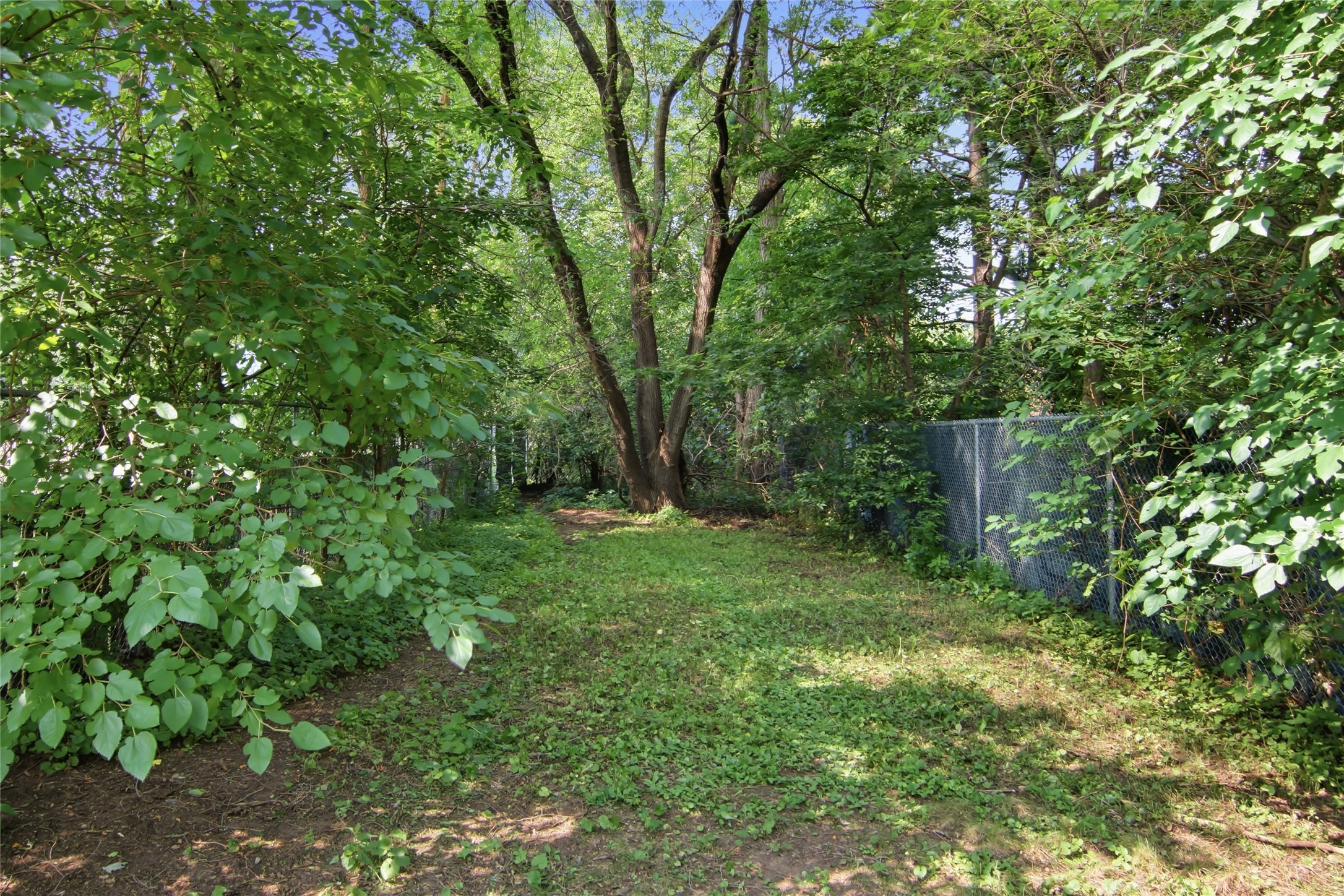 638 Selma Street Property Photo 28
