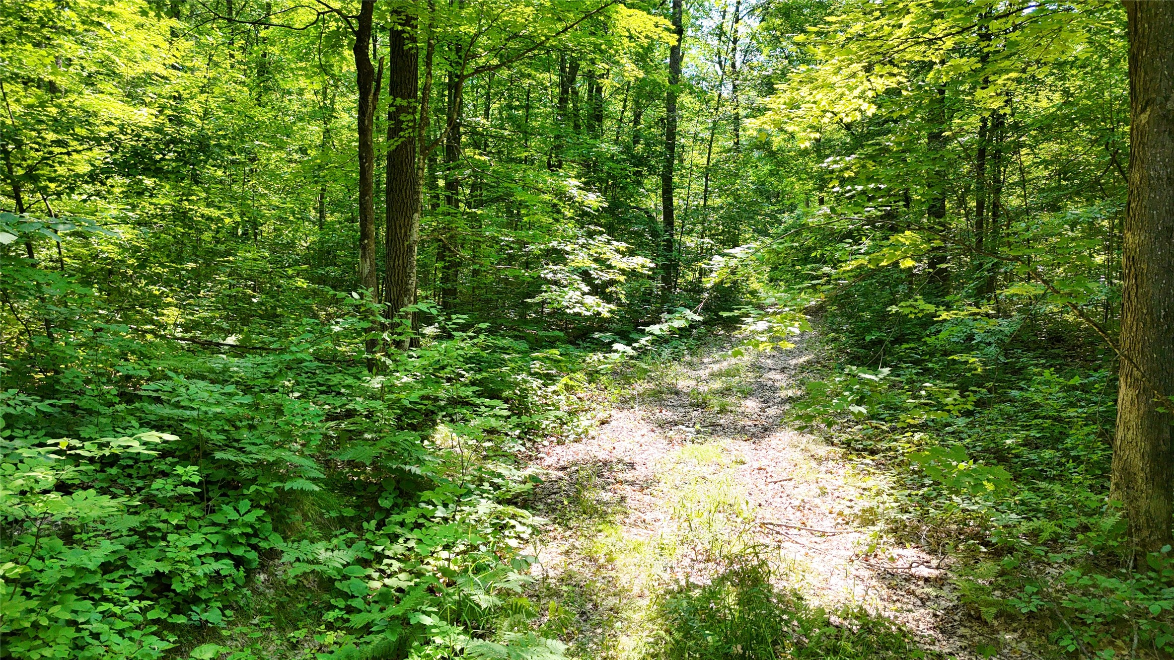 Lot 15 Wolf Lane Property Photo 3