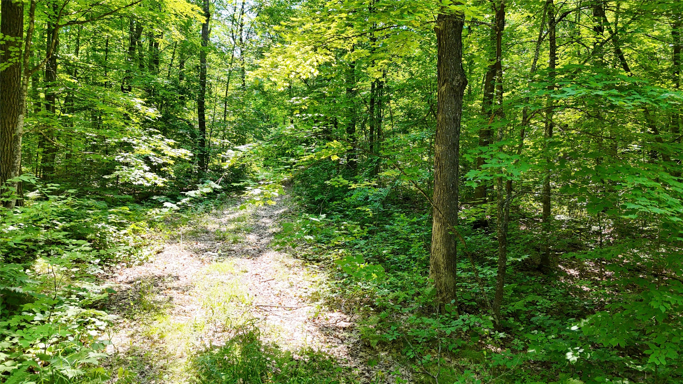 Lot 15 Wolf Lane Property Photo 4