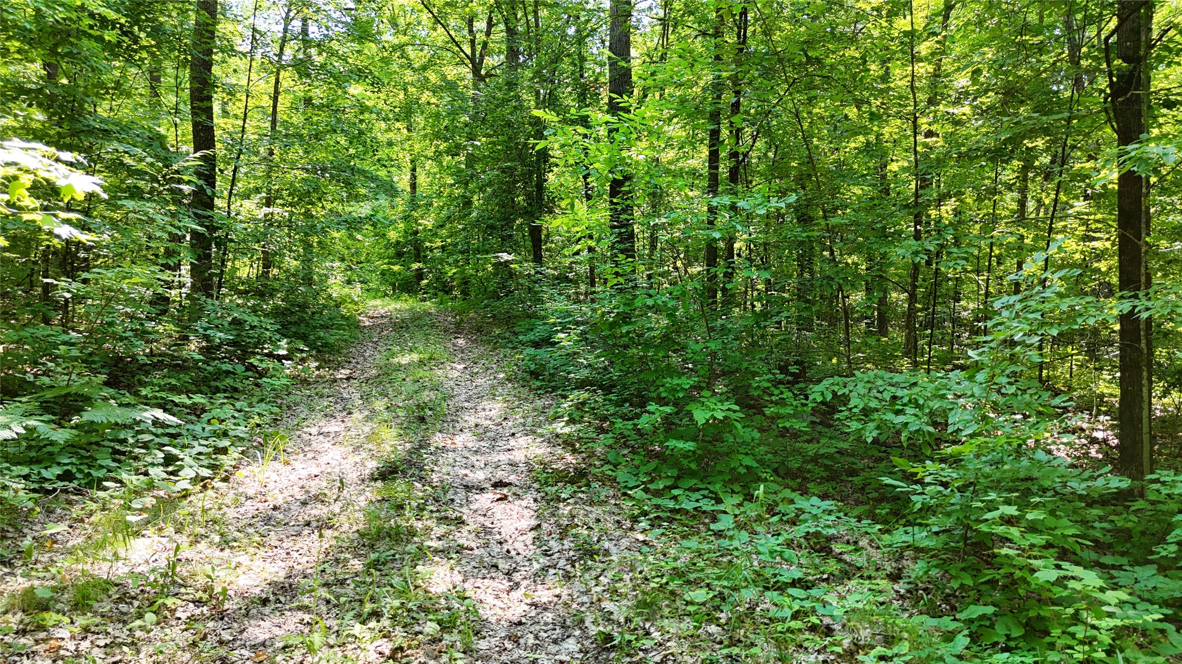 Lot 15 Wolf Lane Property Photo 15
