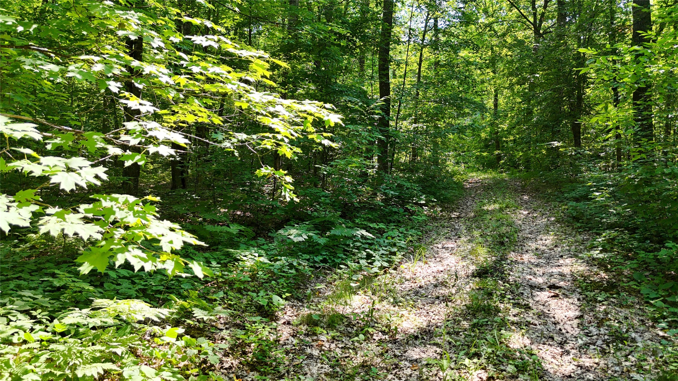 Lot 15 Wolf Lane Property Photo 16