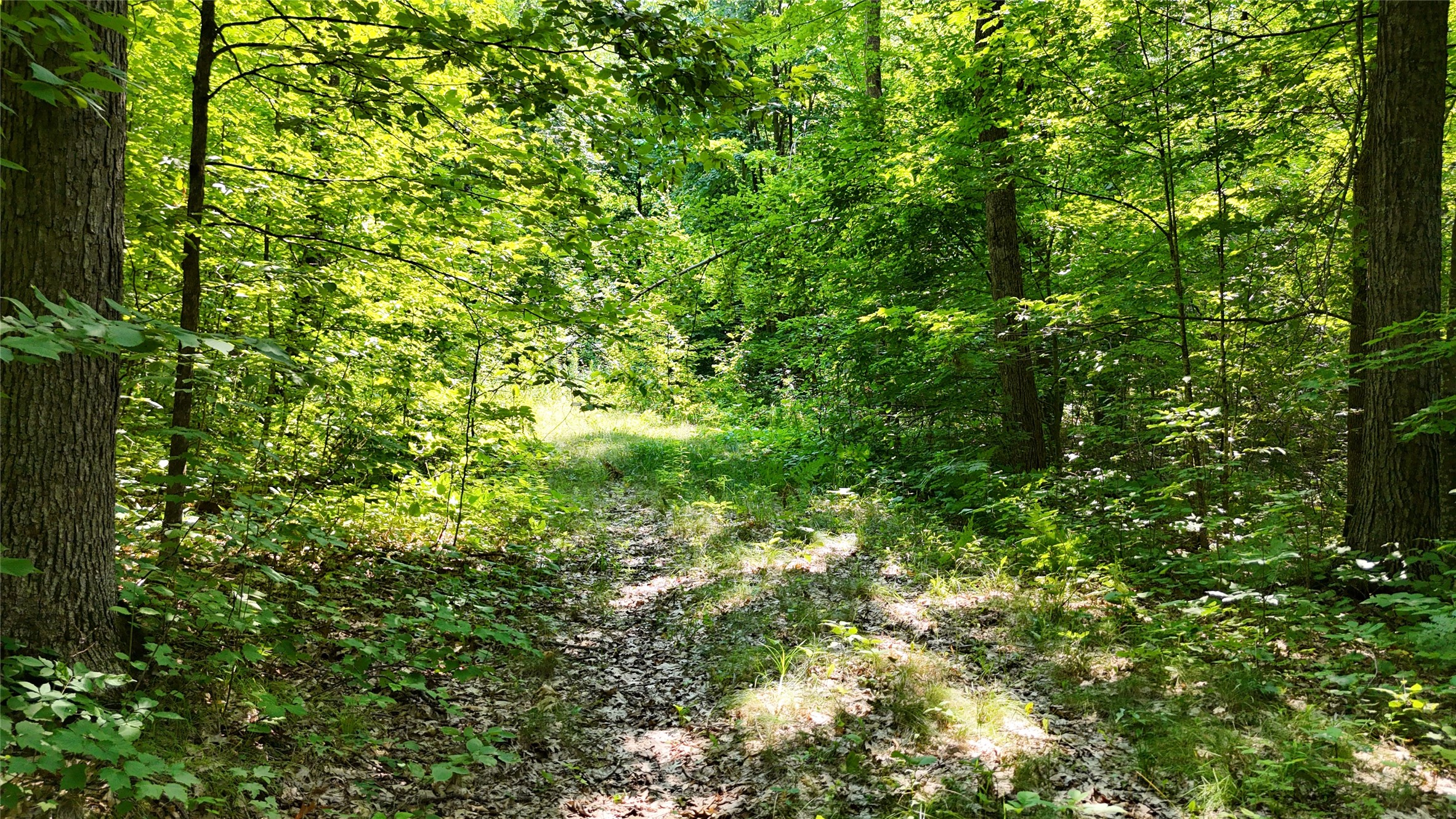 Lot 15 Wolf Lane Property Photo 17