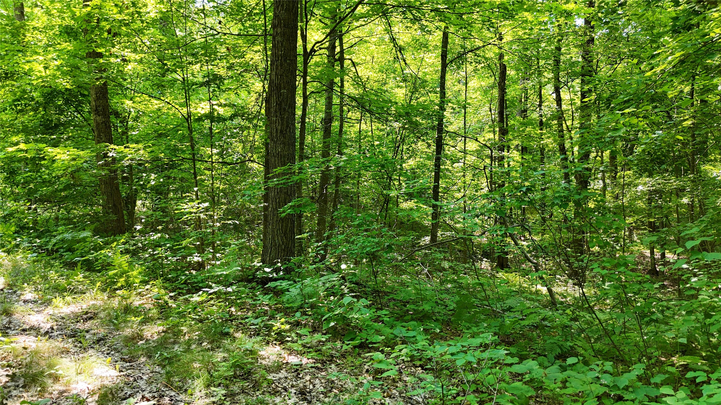 Lot 15 Wolf Lane Property Photo 18