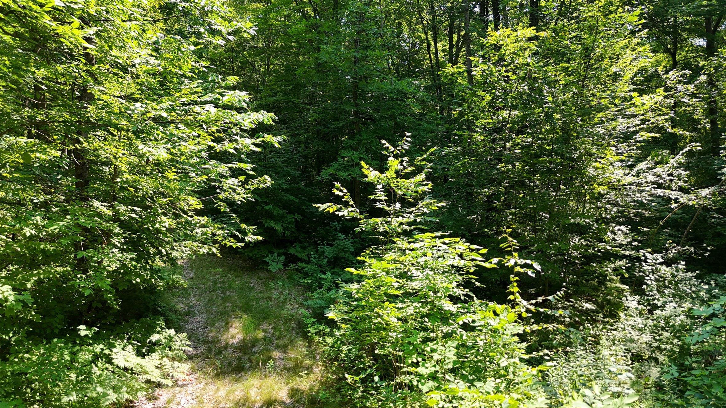Lot 15 Wolf Lane Property Photo 21