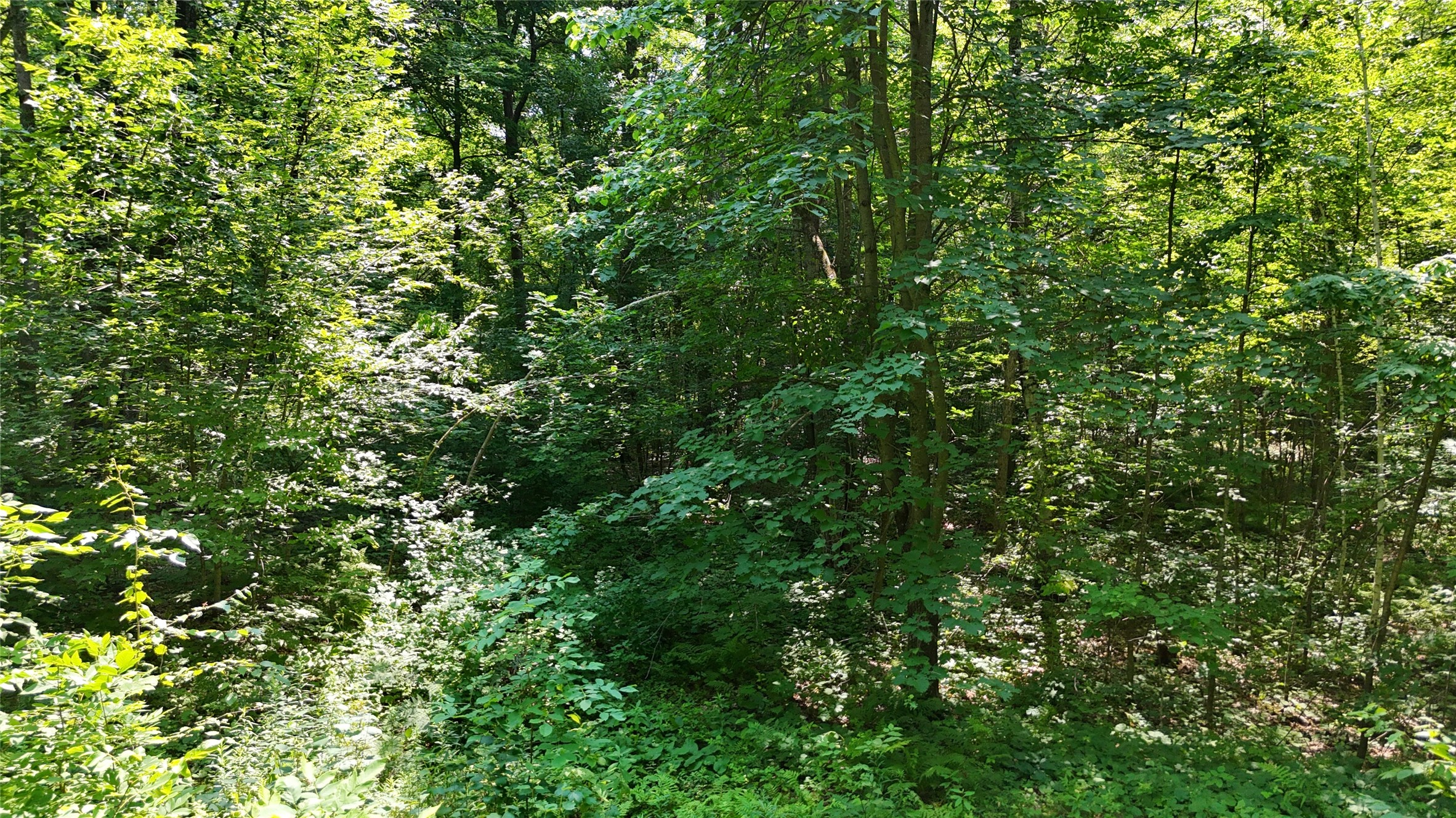 Lot 15 Wolf Lane Property Photo 22