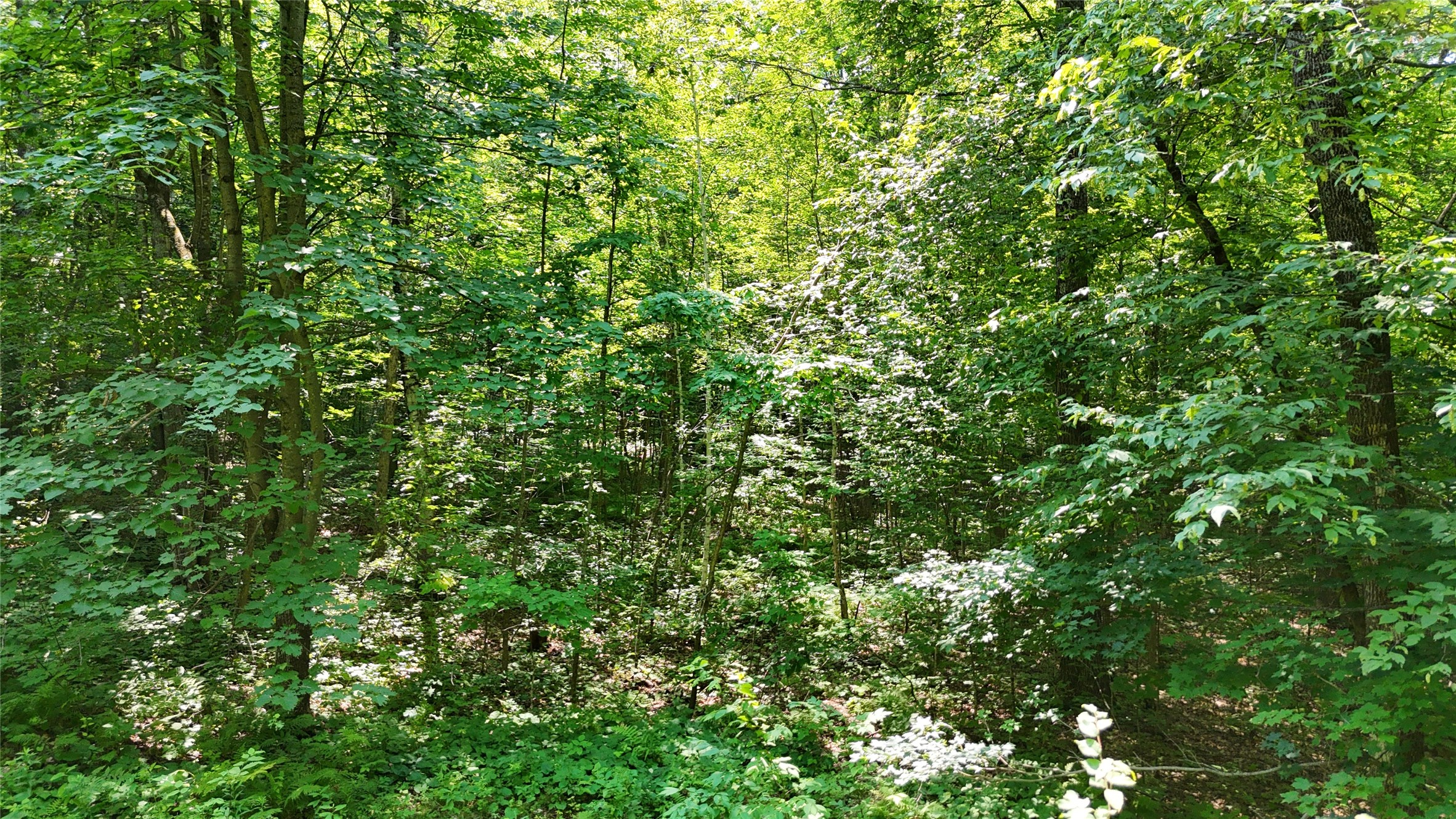 Lot 15 Wolf Lane Property Photo 23
