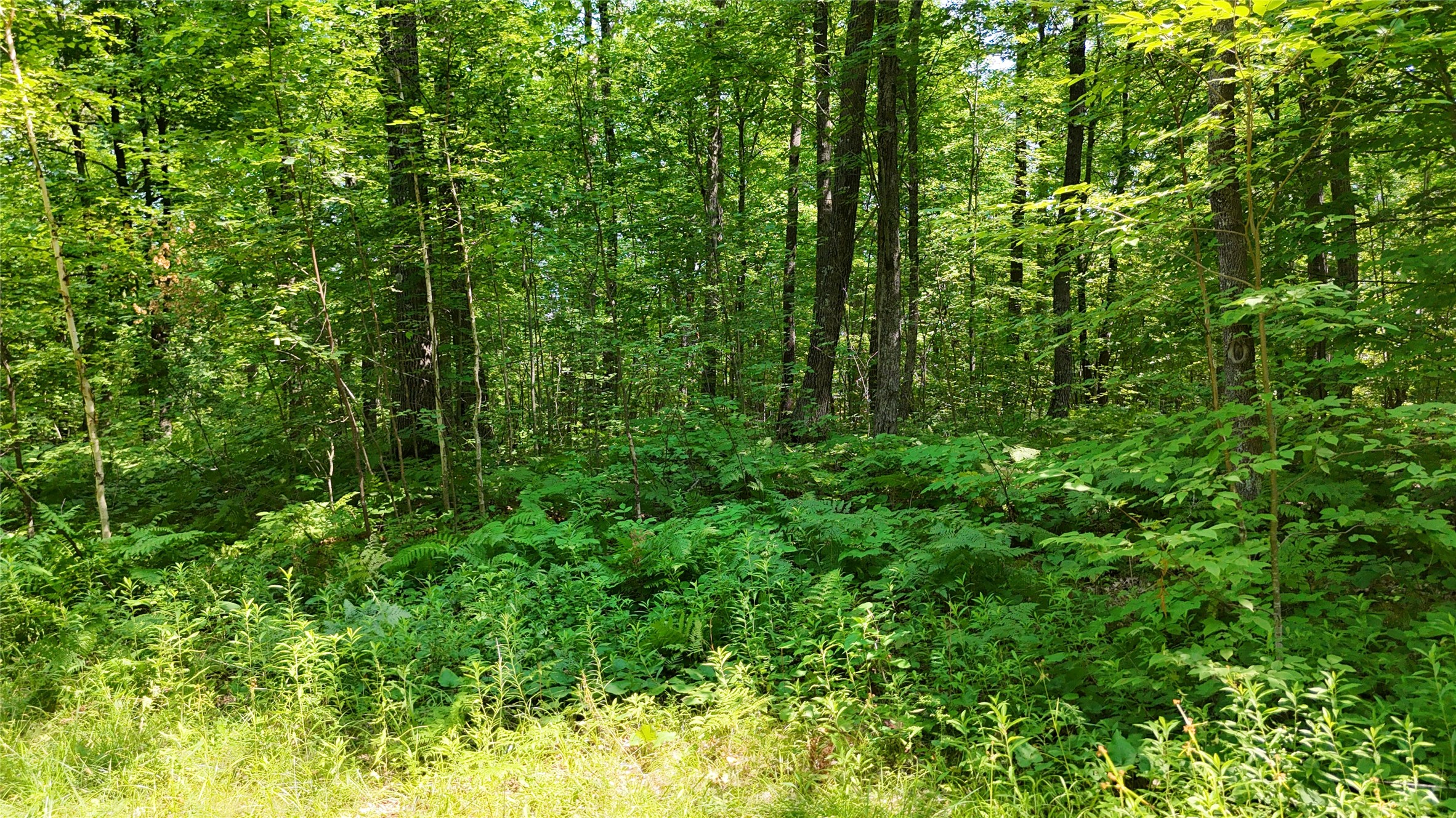 Lot 15 Wolf Lane Property Photo 25