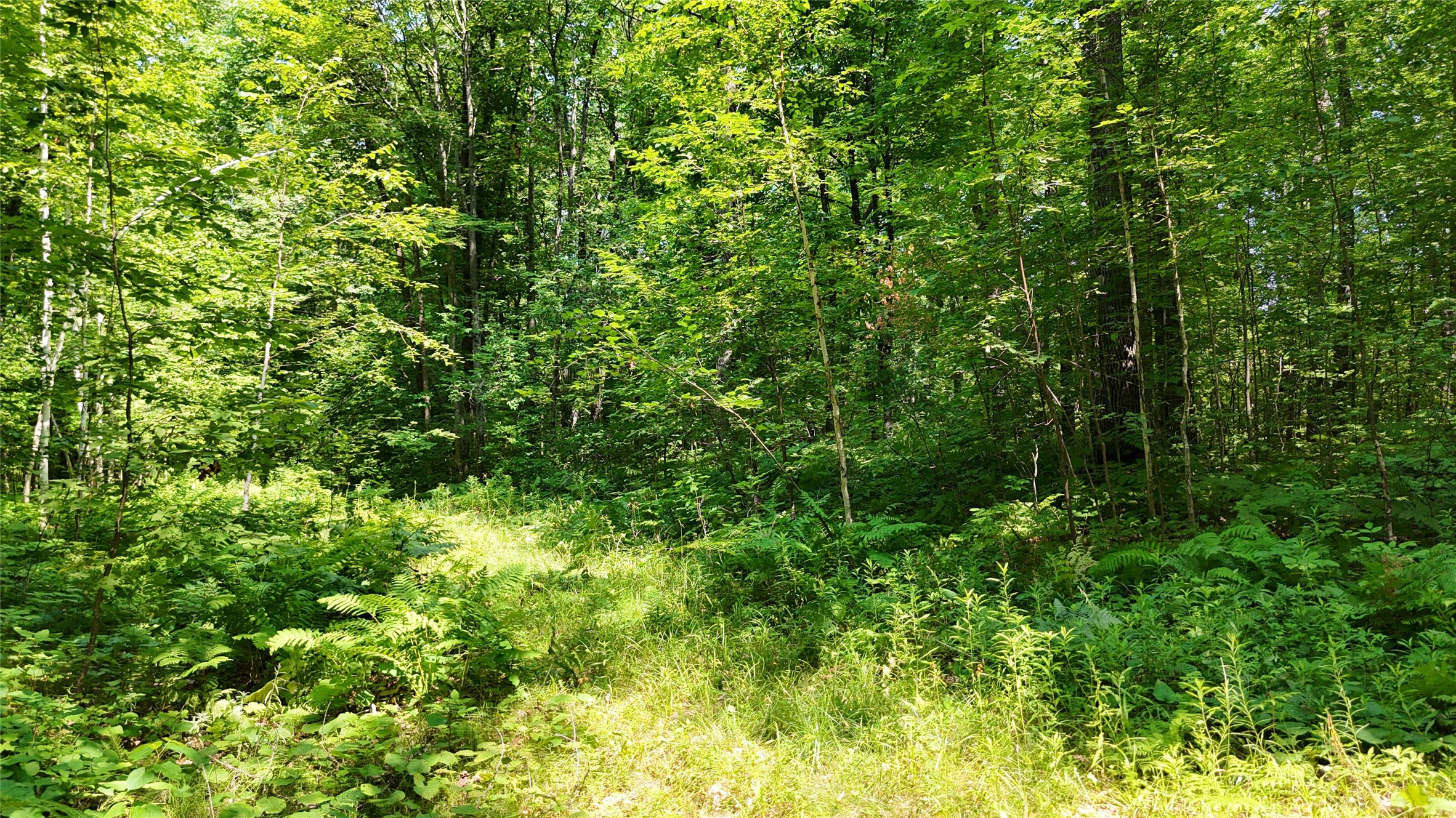 Lot 15 Wolf Lane Property Photo 26