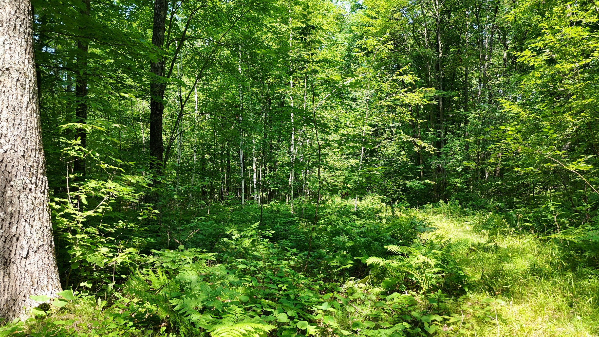 Lot 15 Wolf Lane Property Photo 27