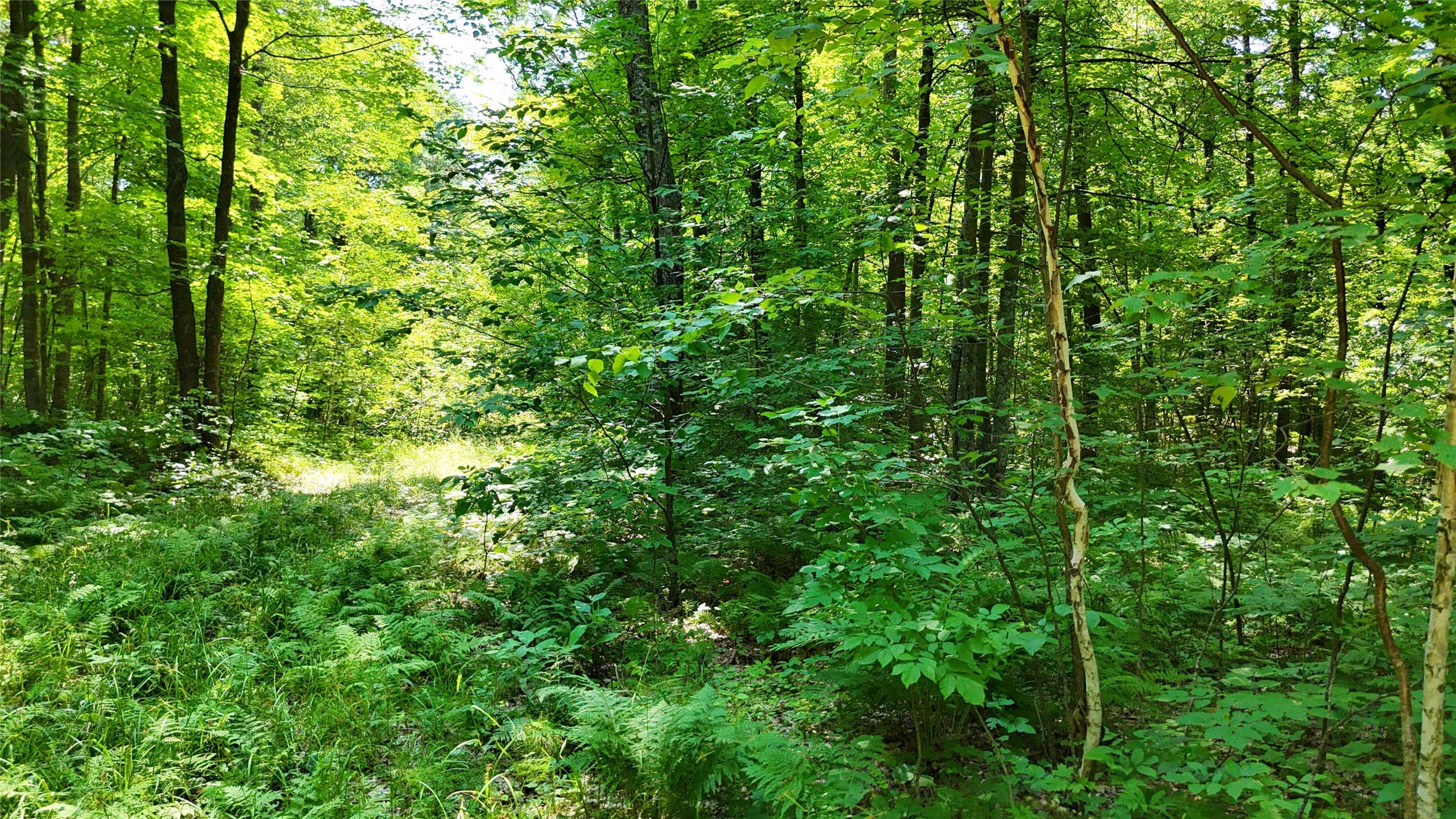 Lot 15 Wolf Lane Property Photo 28