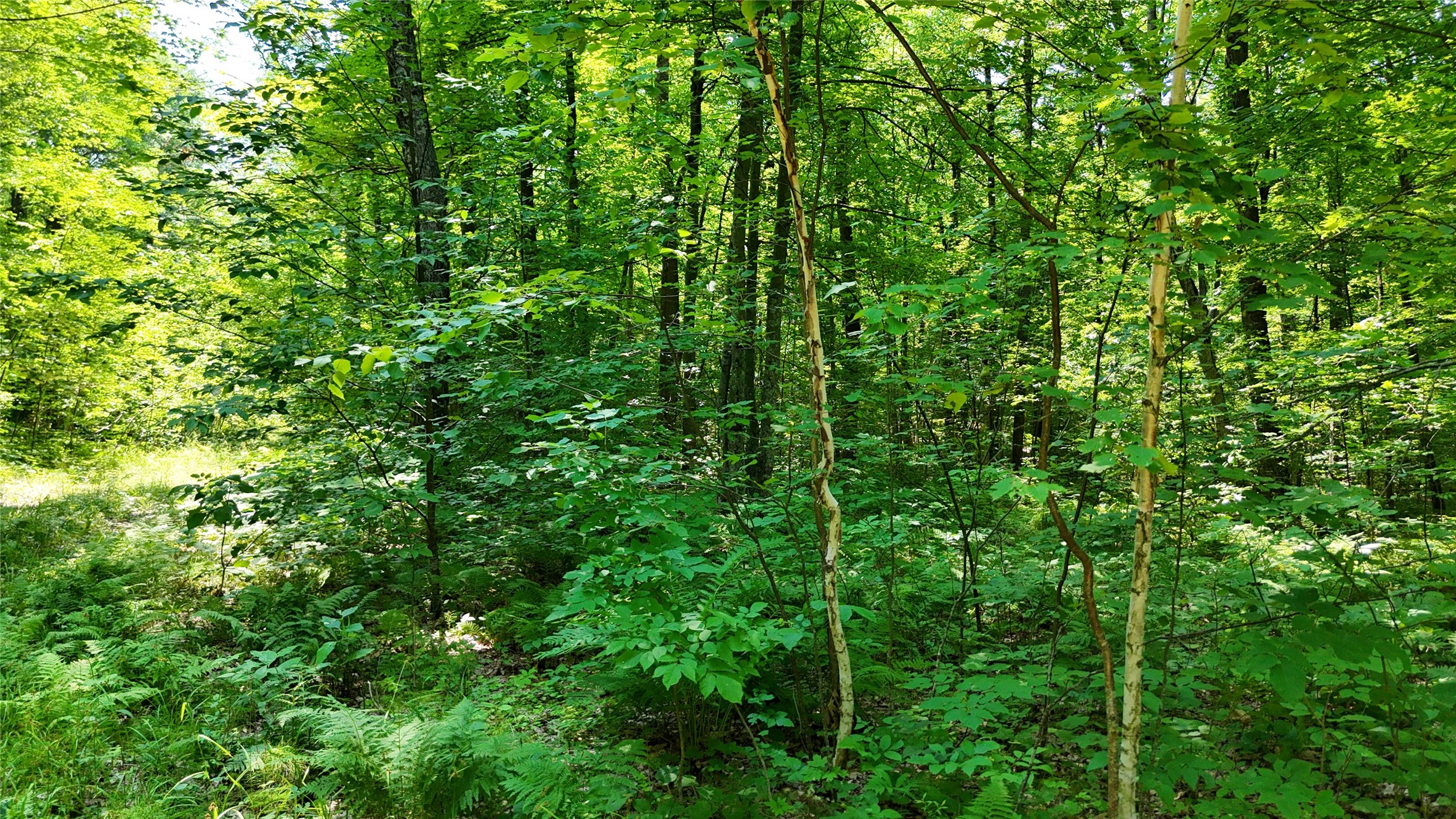 Lot 15 Wolf Lane Property Photo 29