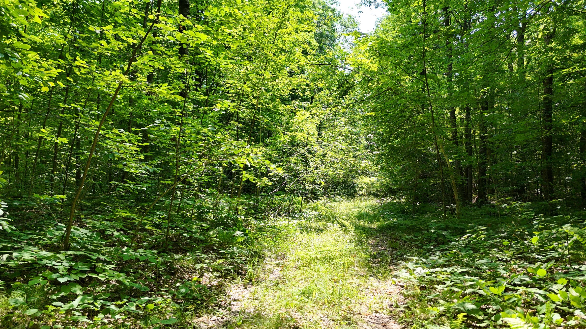 Lot 15 Wolf Lane Property Photo 30