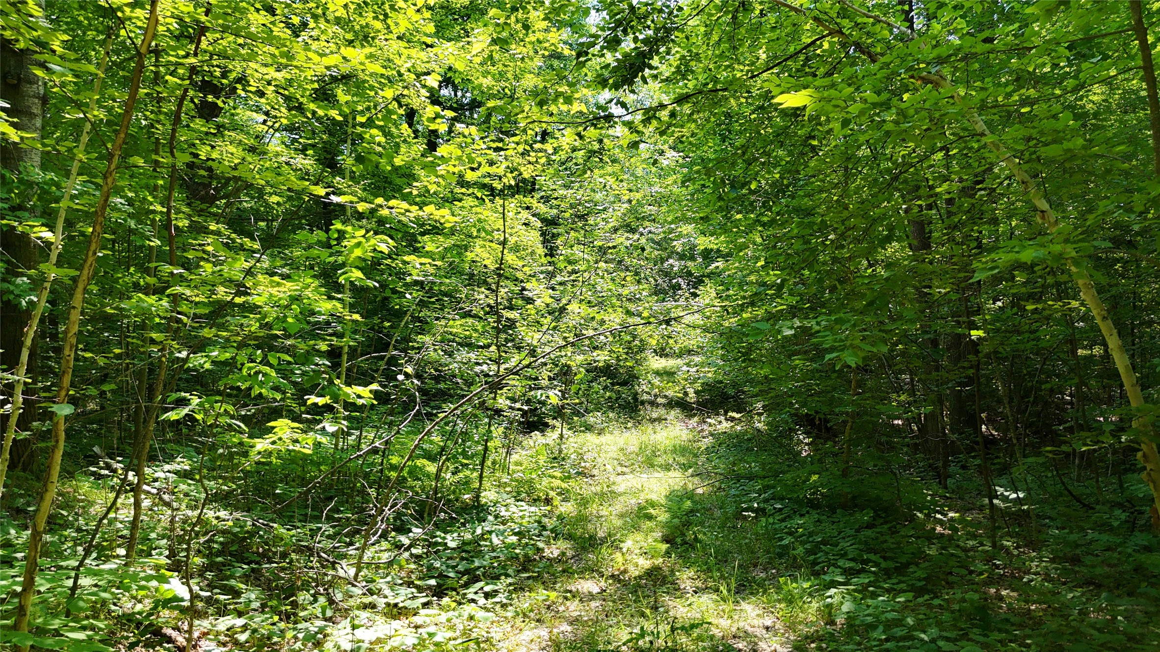Lot 15 Wolf Lane Property Photo 31
