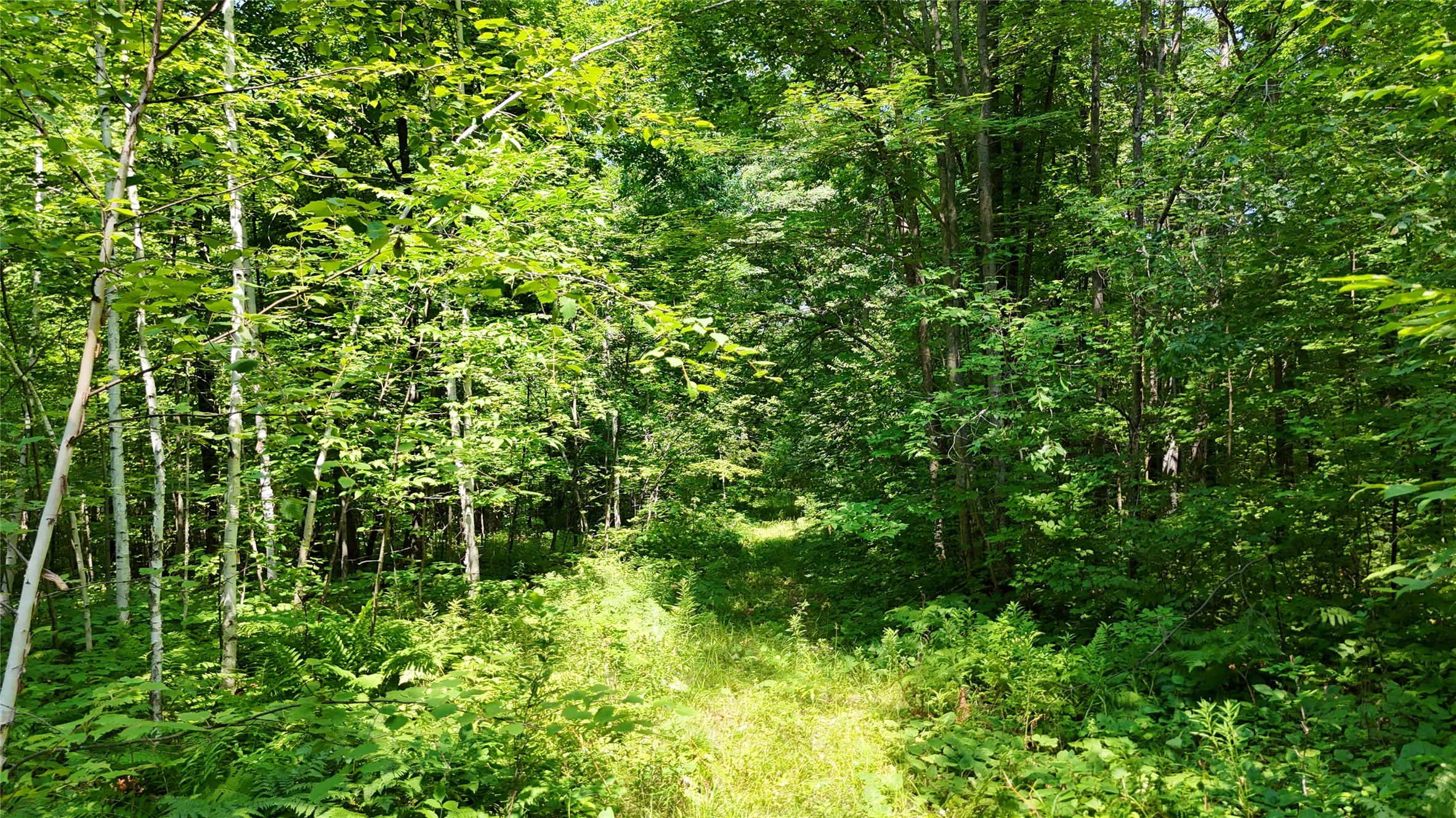 Lot 15 Wolf Lane Property Photo 32