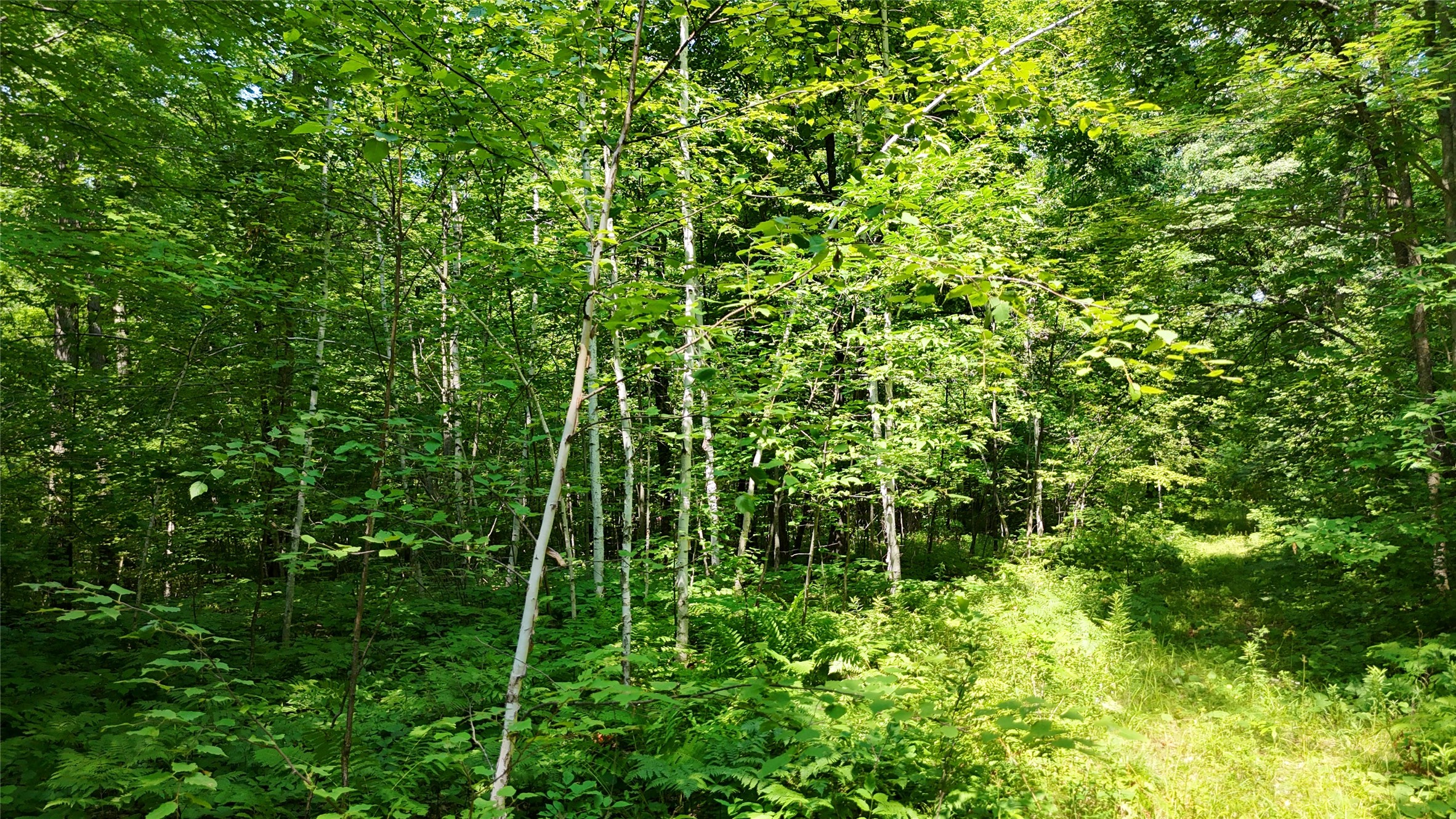 Lot 15 Wolf Lane Property Photo 33