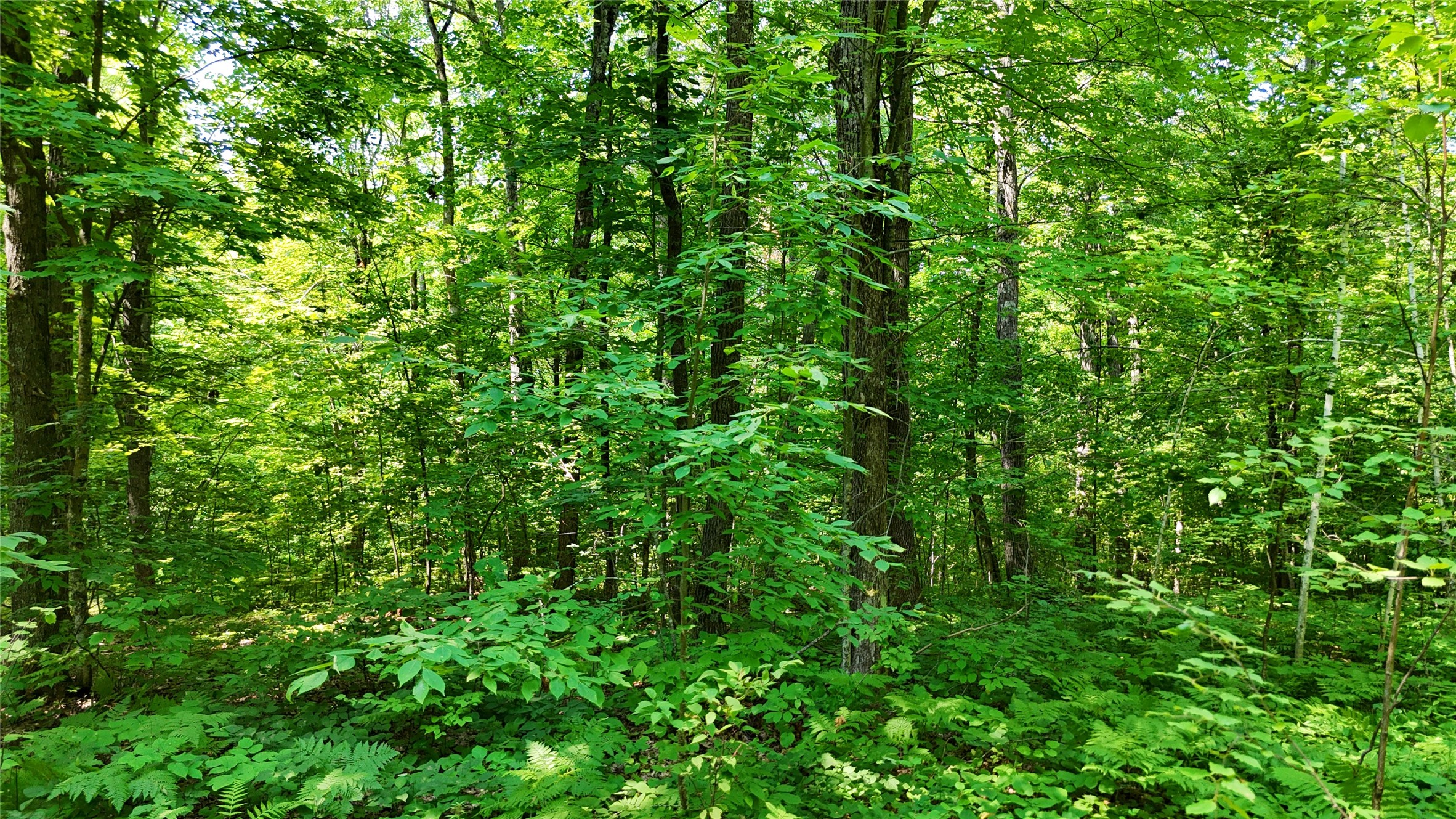 Lot 15 Wolf Lane Property Photo 35