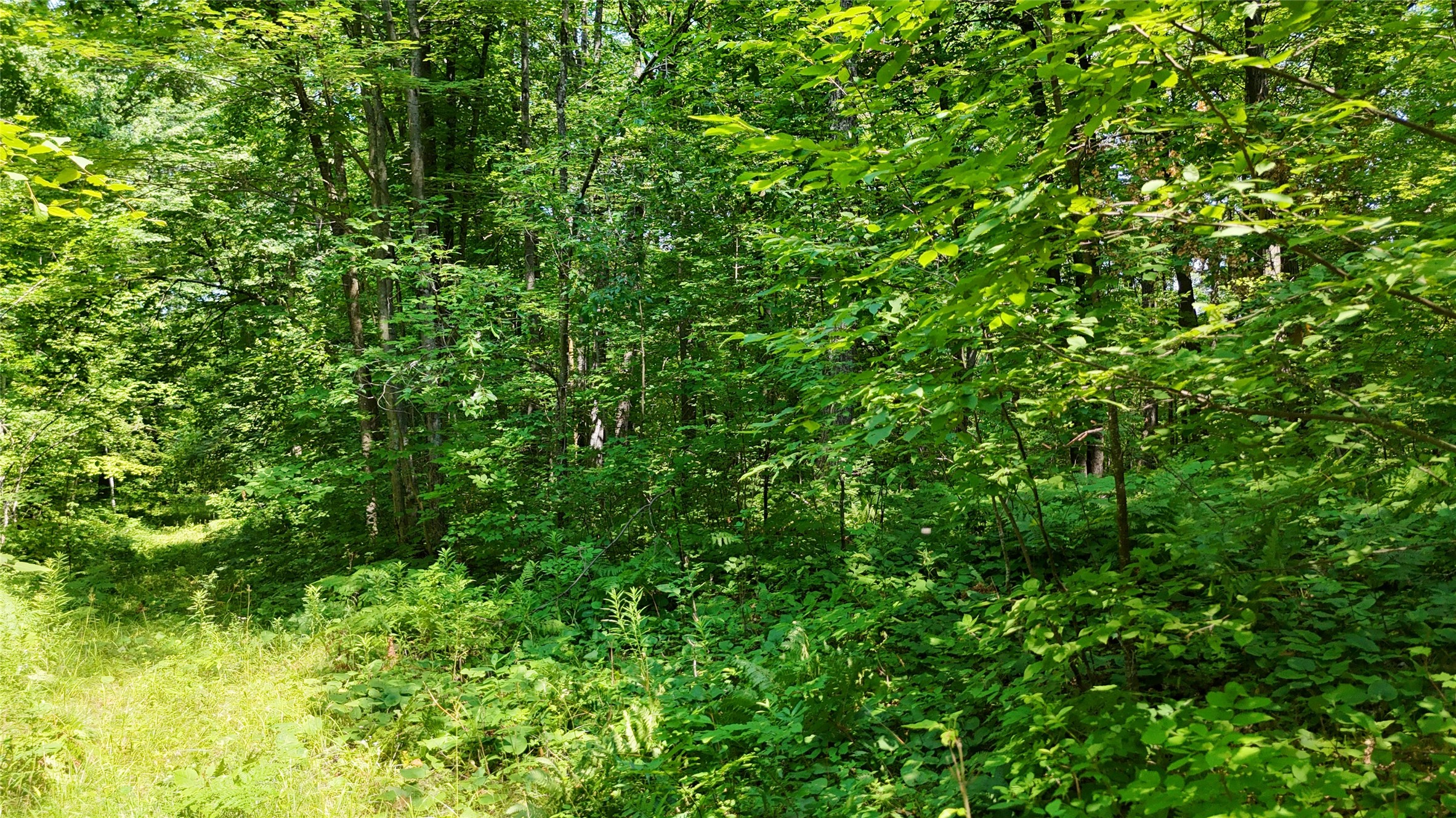Lot 15 Wolf Lane Property Photo 36
