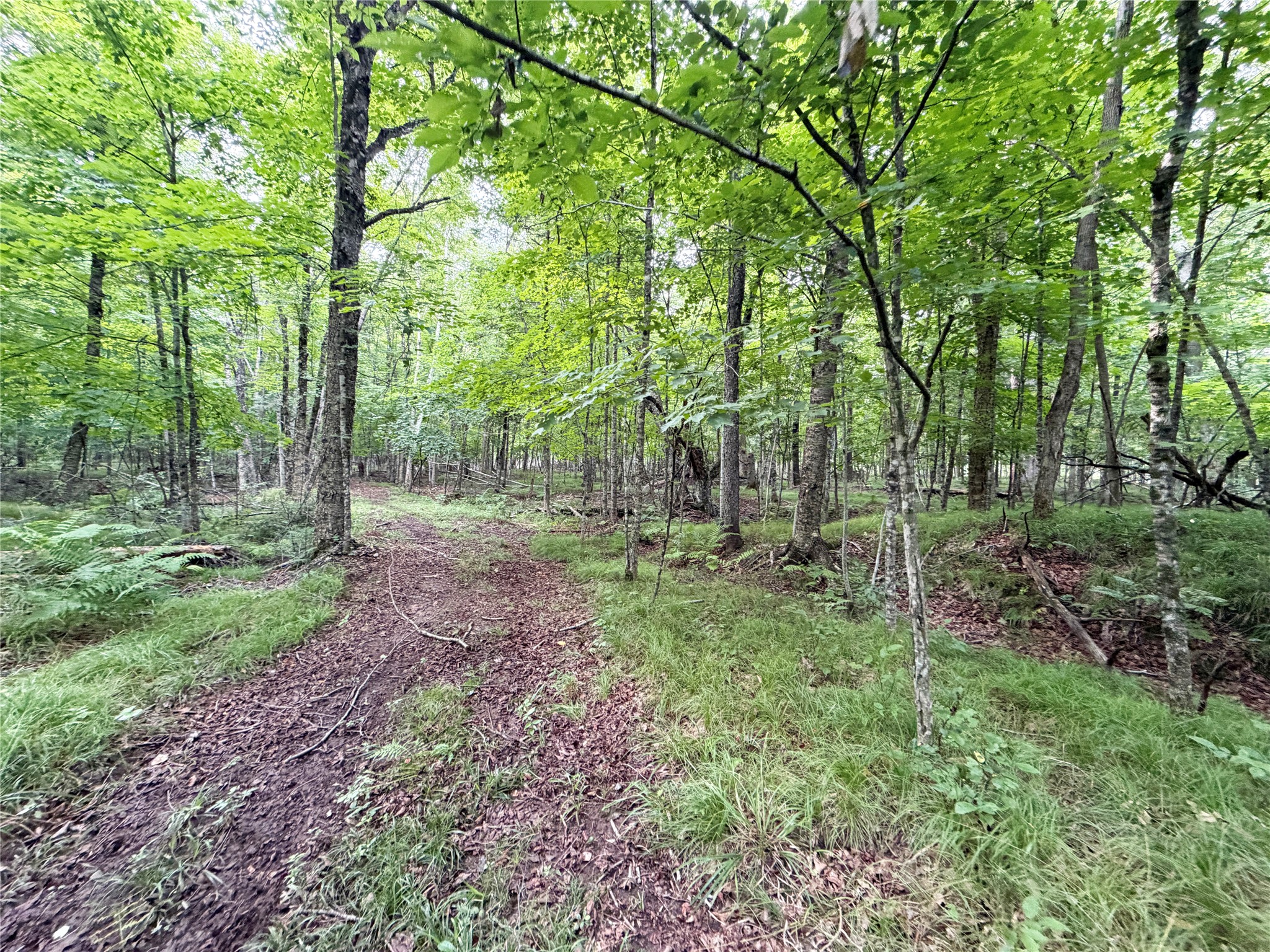 W13159 Sieck Road Property Photo 37