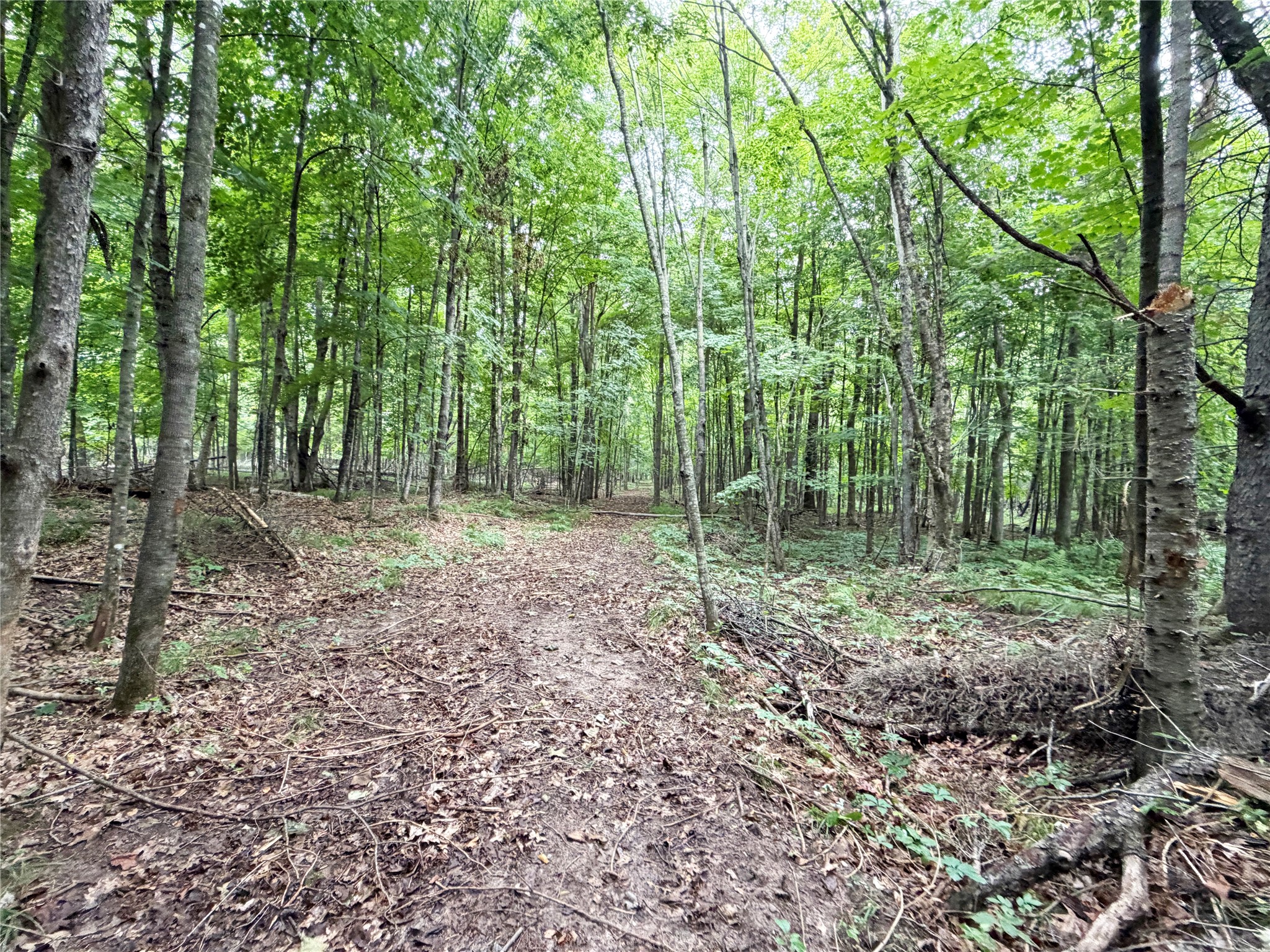 W13159 Sieck Road Property Photo 38