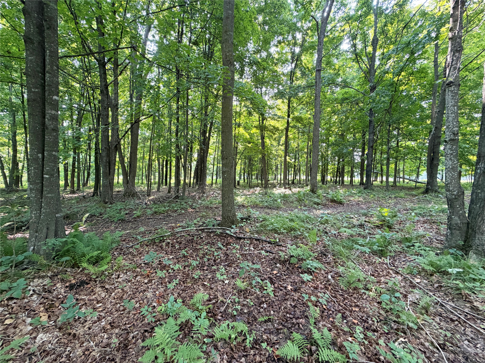 W13159 Sieck Road Property Photo 39