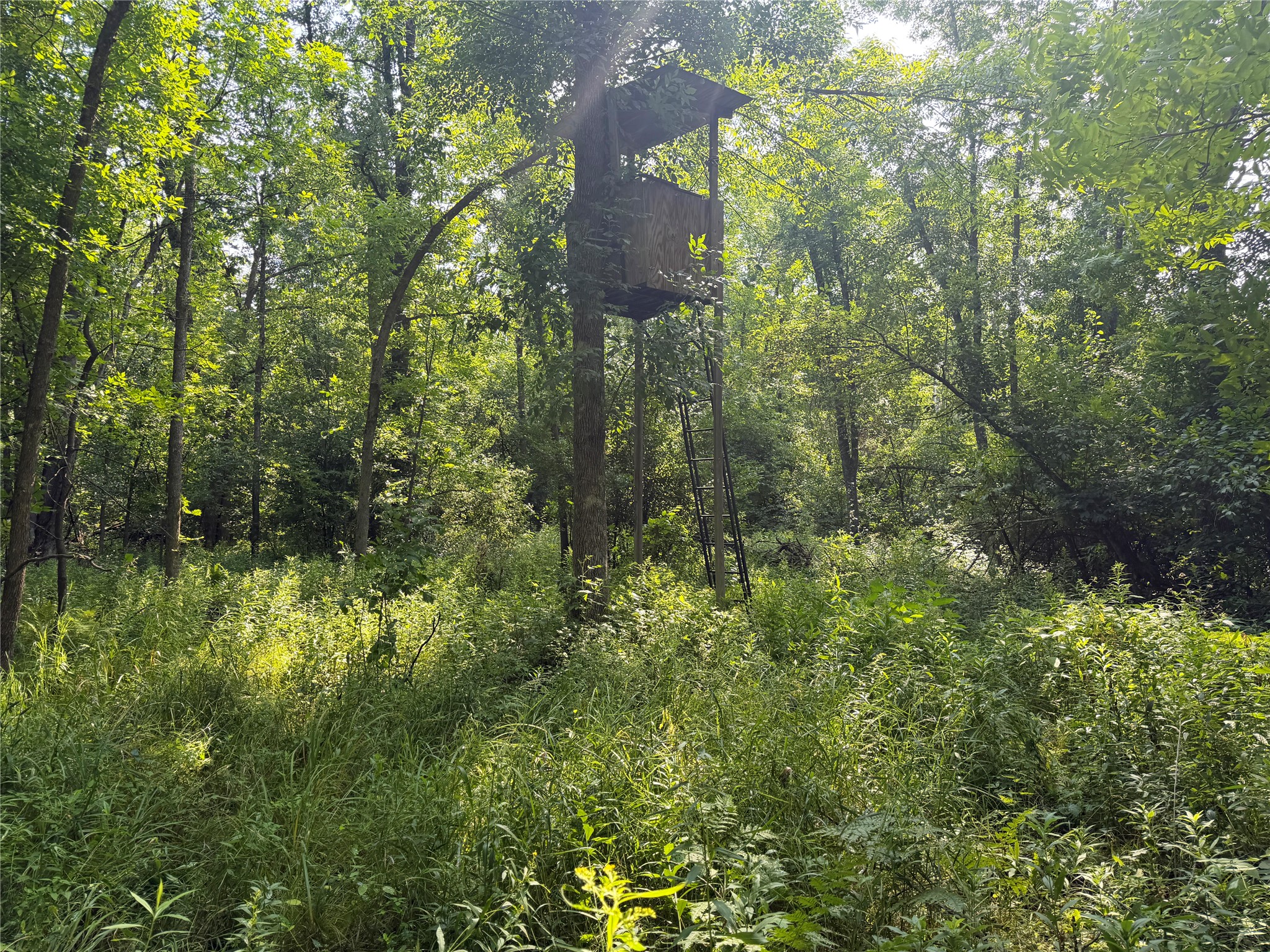 W13159 Sieck Road Property Photo 41
