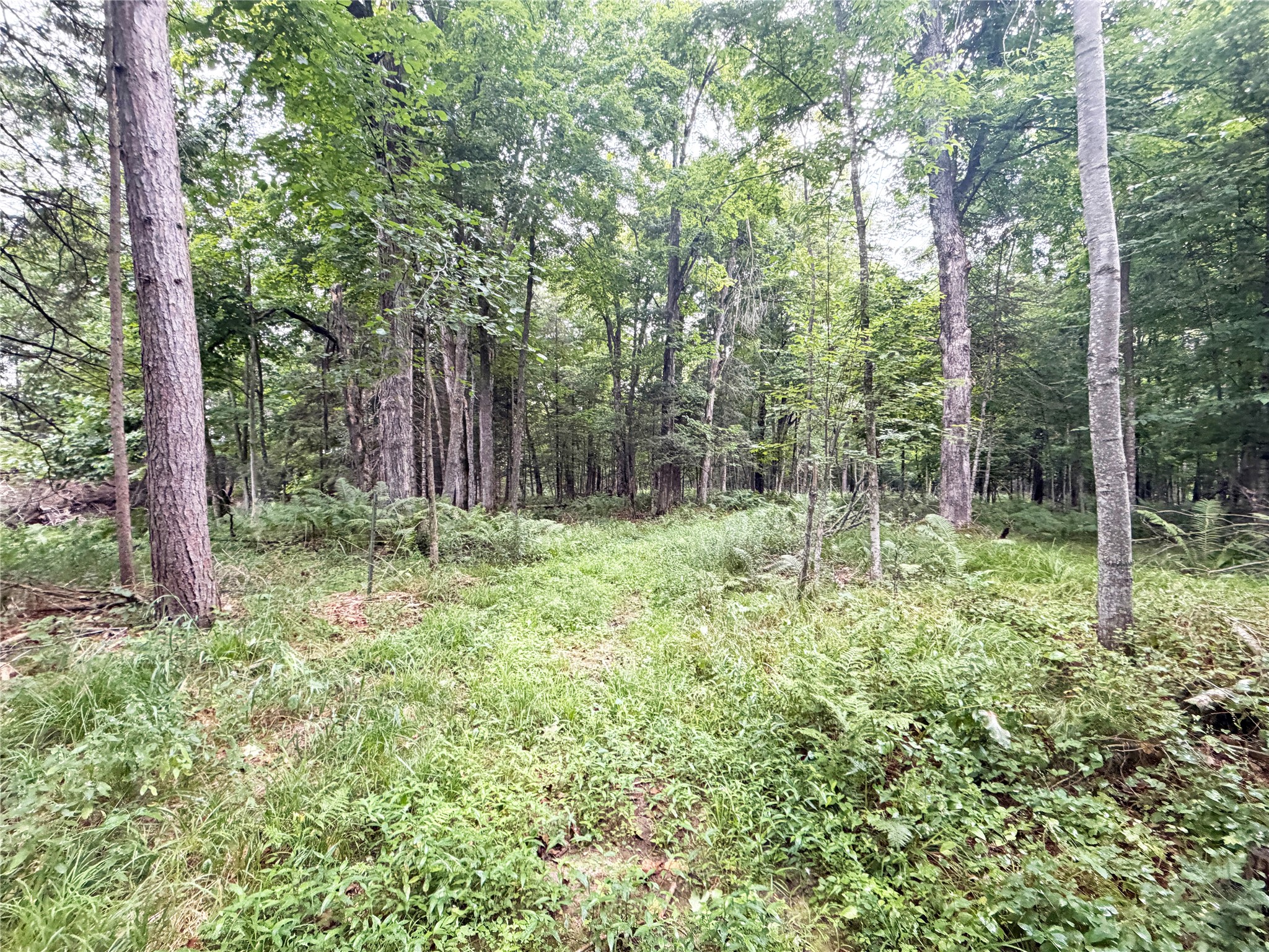 W13159 Sieck Road Property Photo 42