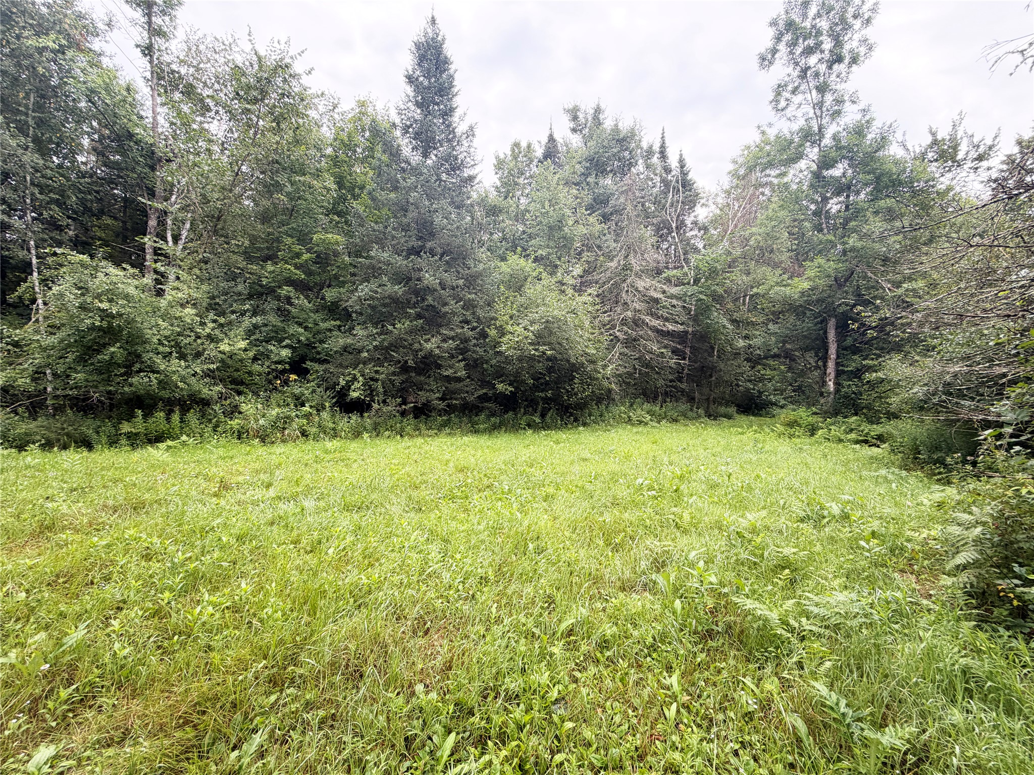 W13159 Sieck Road Property Photo 43