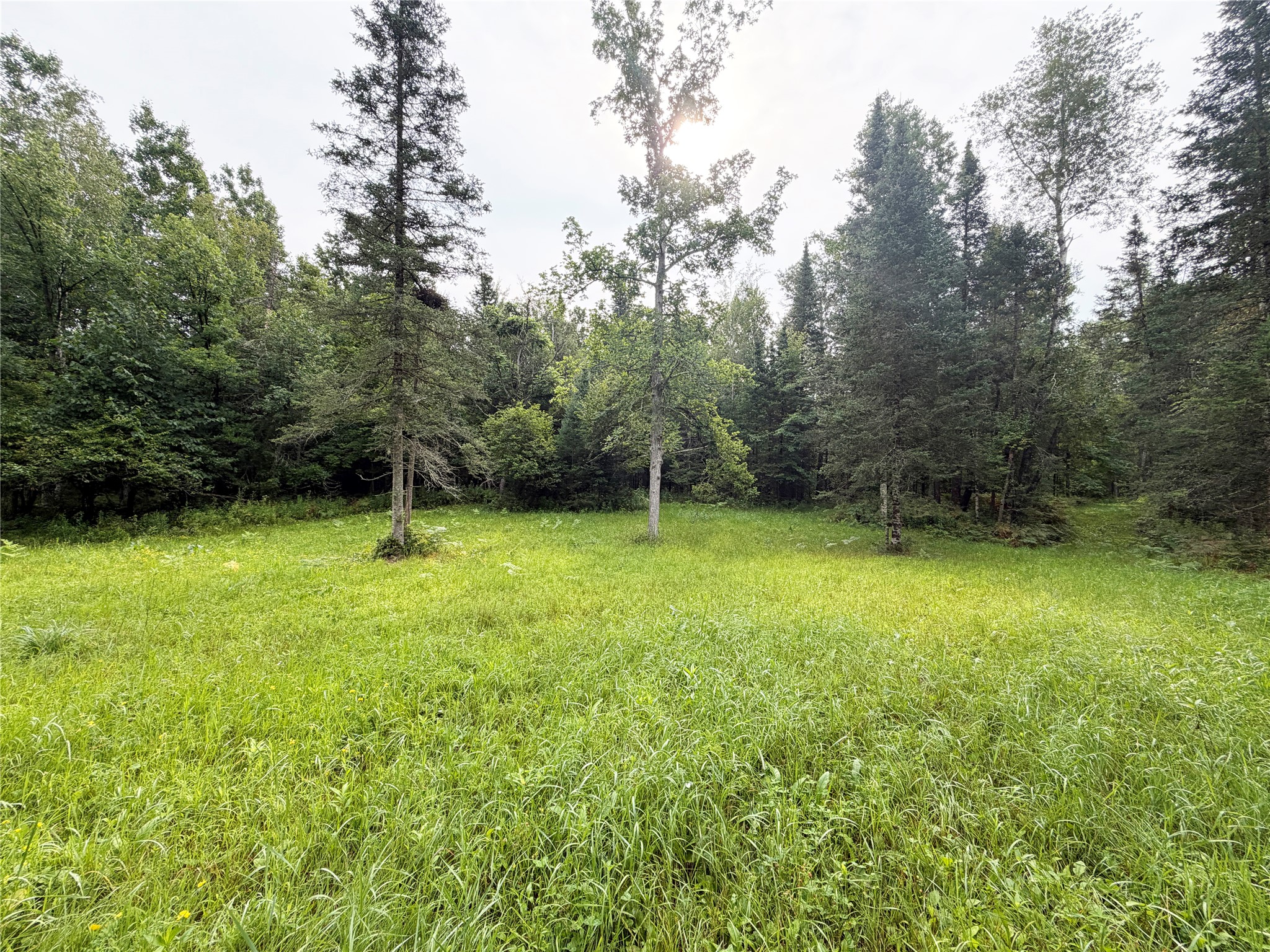 W13159 Sieck Road Property Photo 44