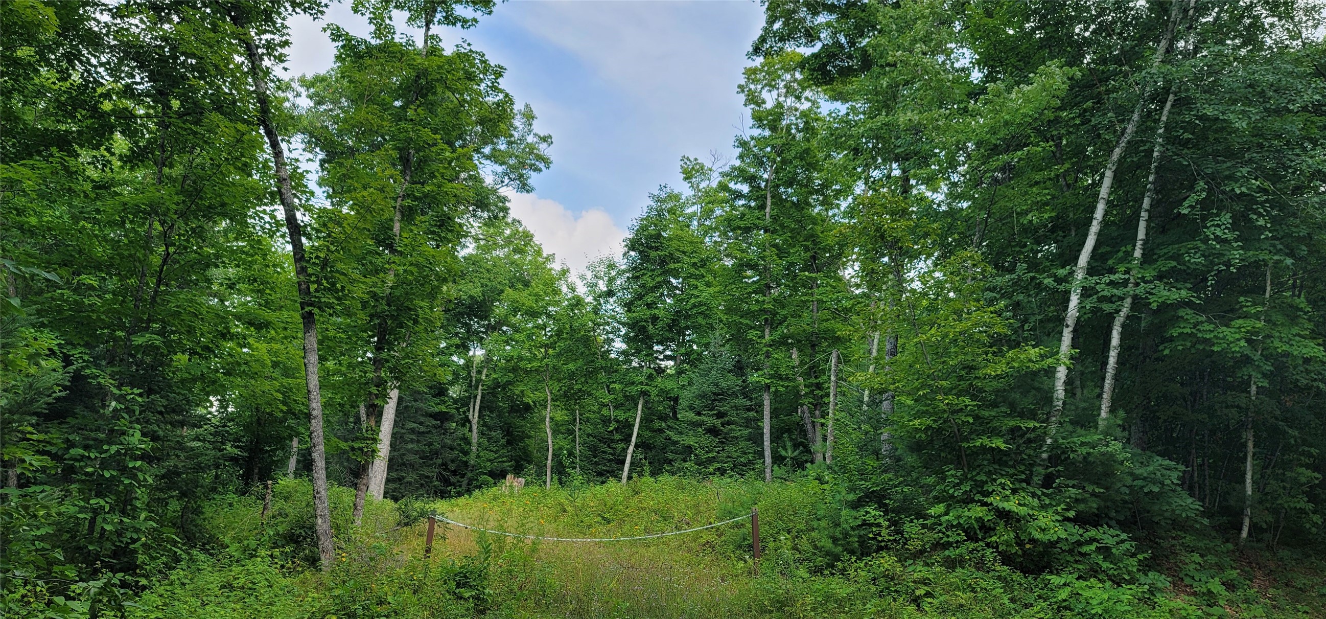 0000 N Lower Twin Lake Property Photo 1