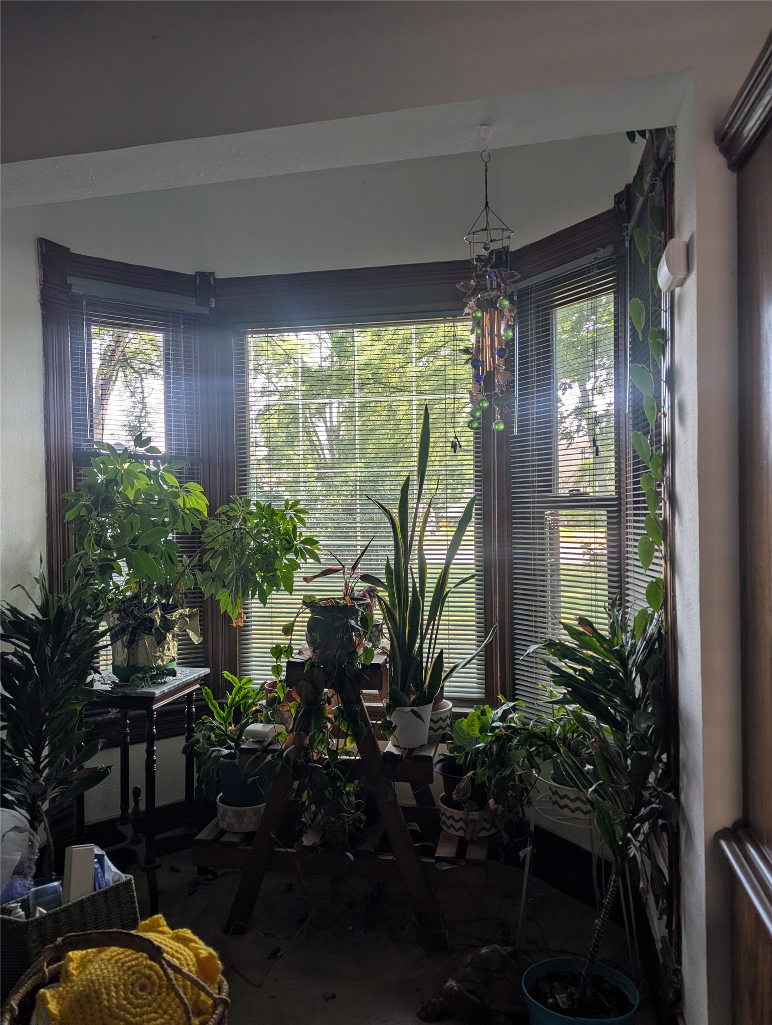 166 Madison Street Property Photo 16