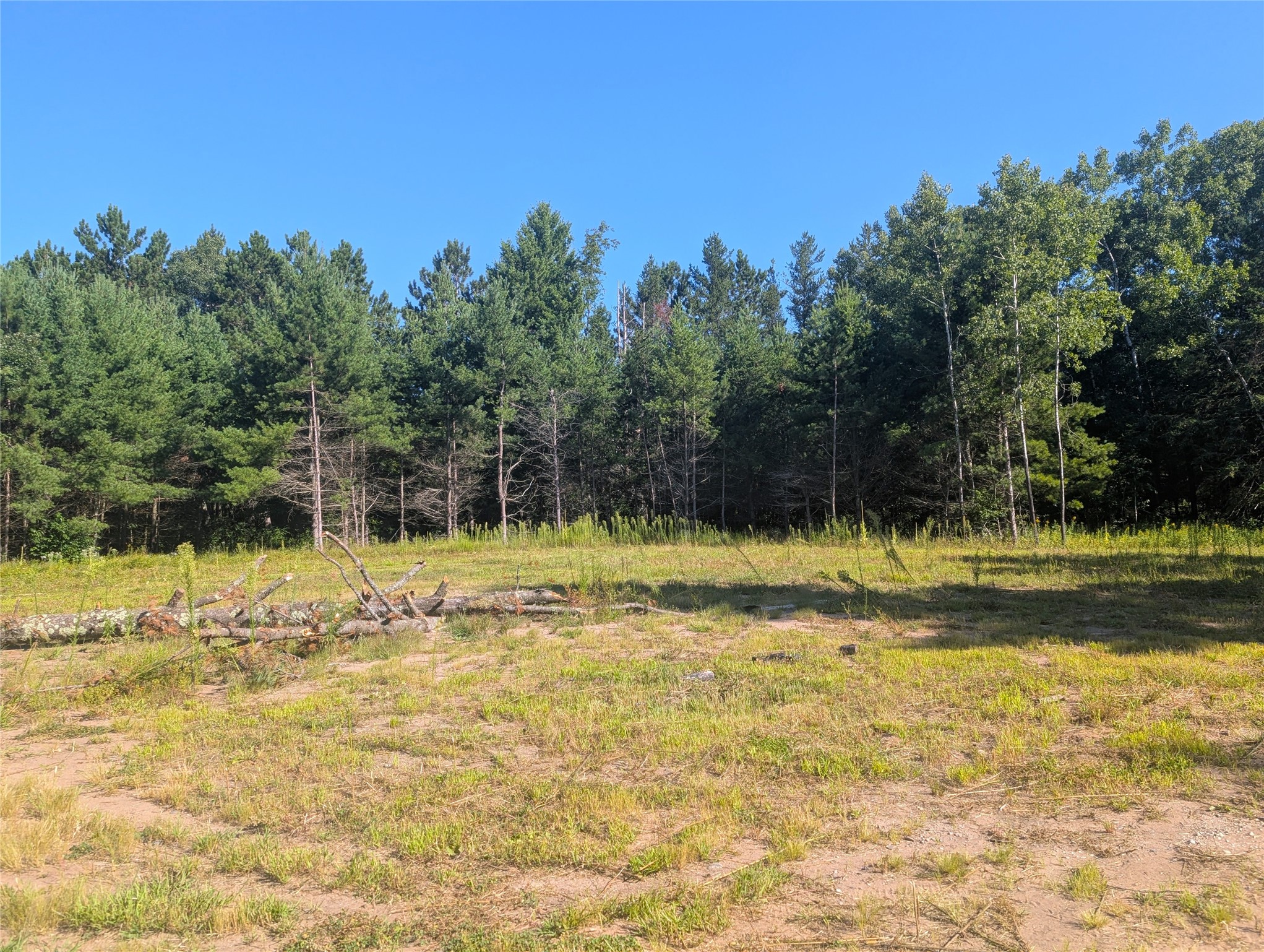 3380 W Us Highway 63 Property Photo 4