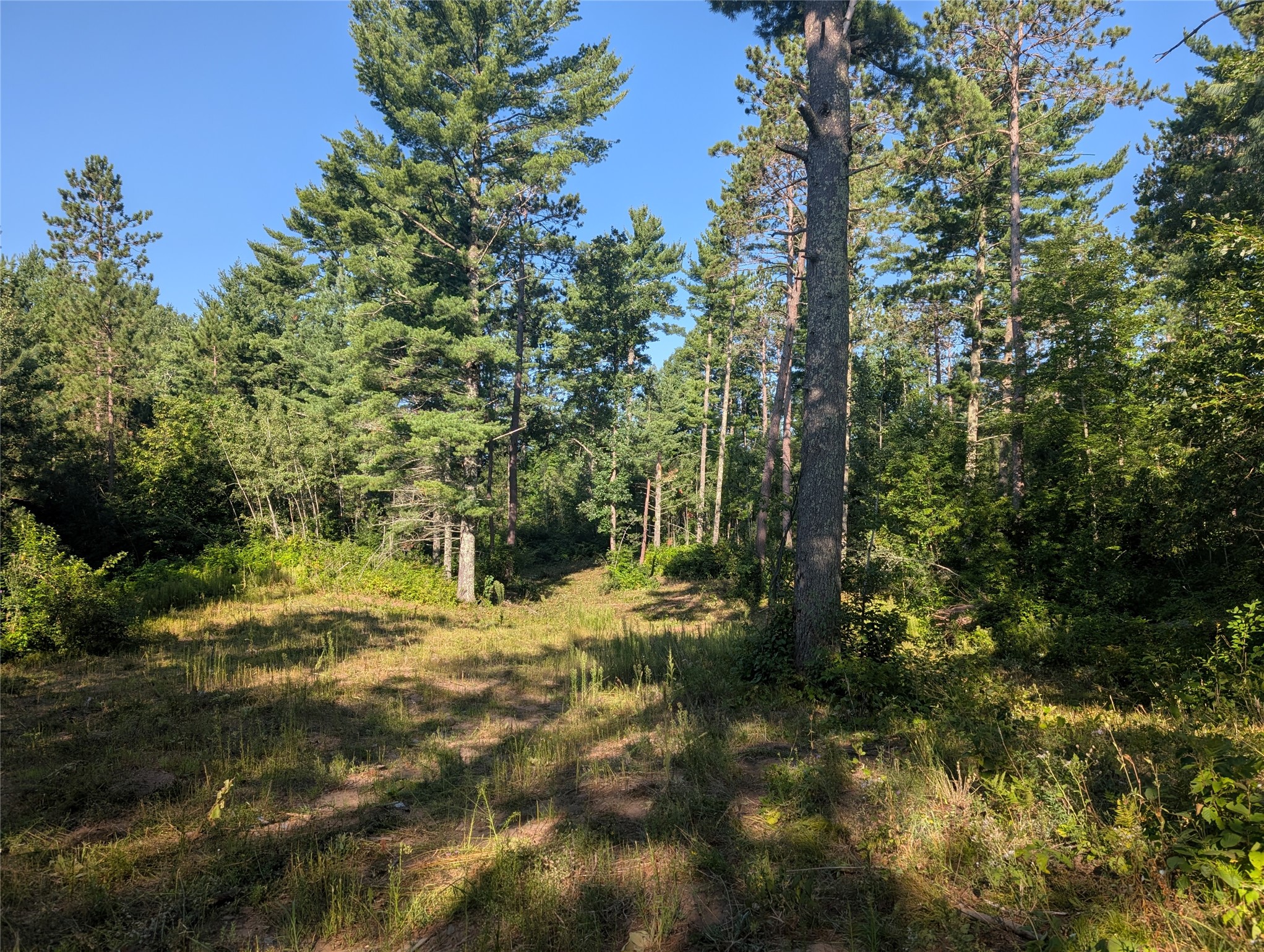 3380 W Us Highway 63 Property Photo 6