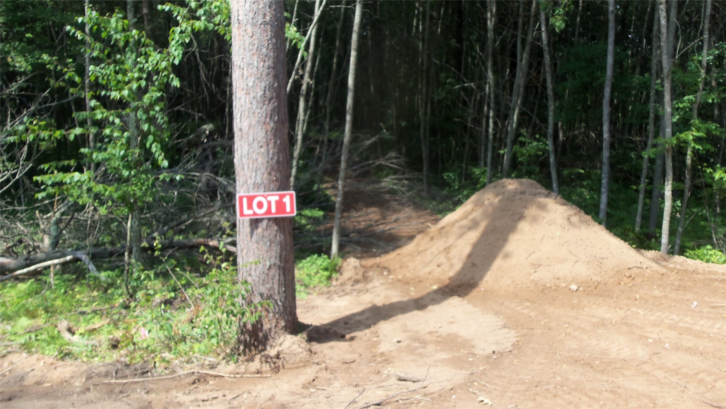 Lot 1 Birch Tree Trail Property Photo 1