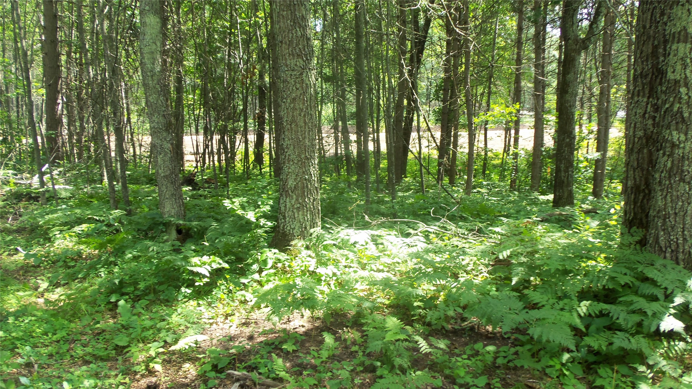 Lot 1 Birch Tree Trail Property Photo 8