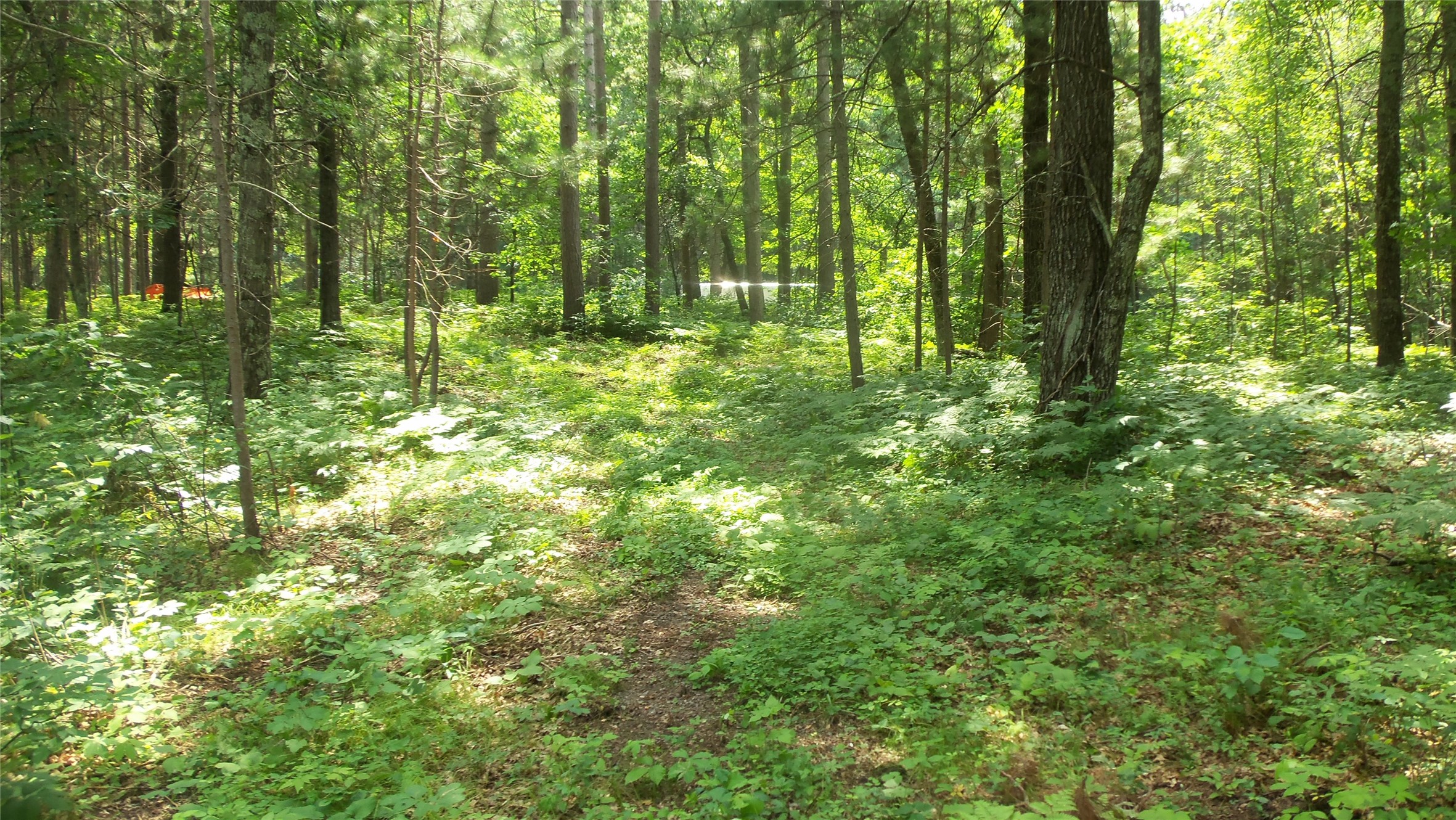 Lot 2 Birch Tree Trail Property Photo 11