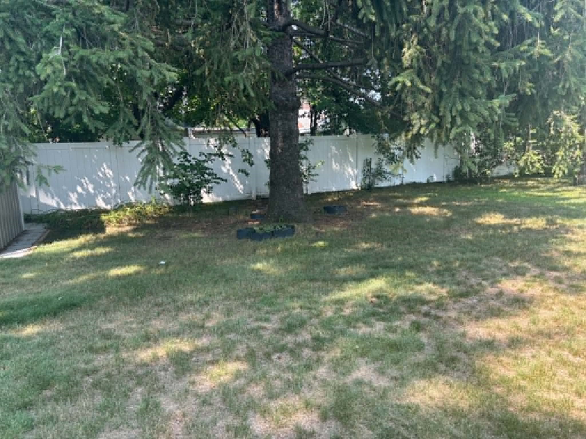 2120 Valmont Avenue Property Photo 6