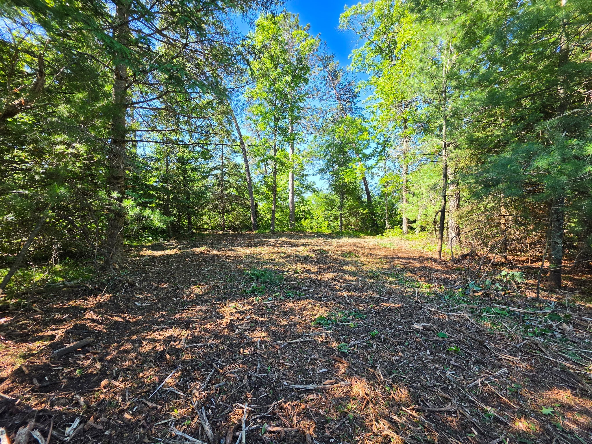 Lot 3 County Road T Property Photo 1