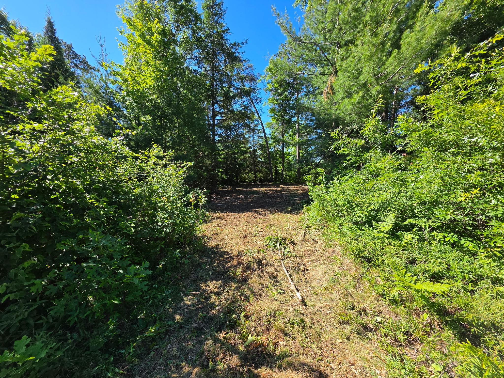 Lot 3 County Road T Property Photo 4