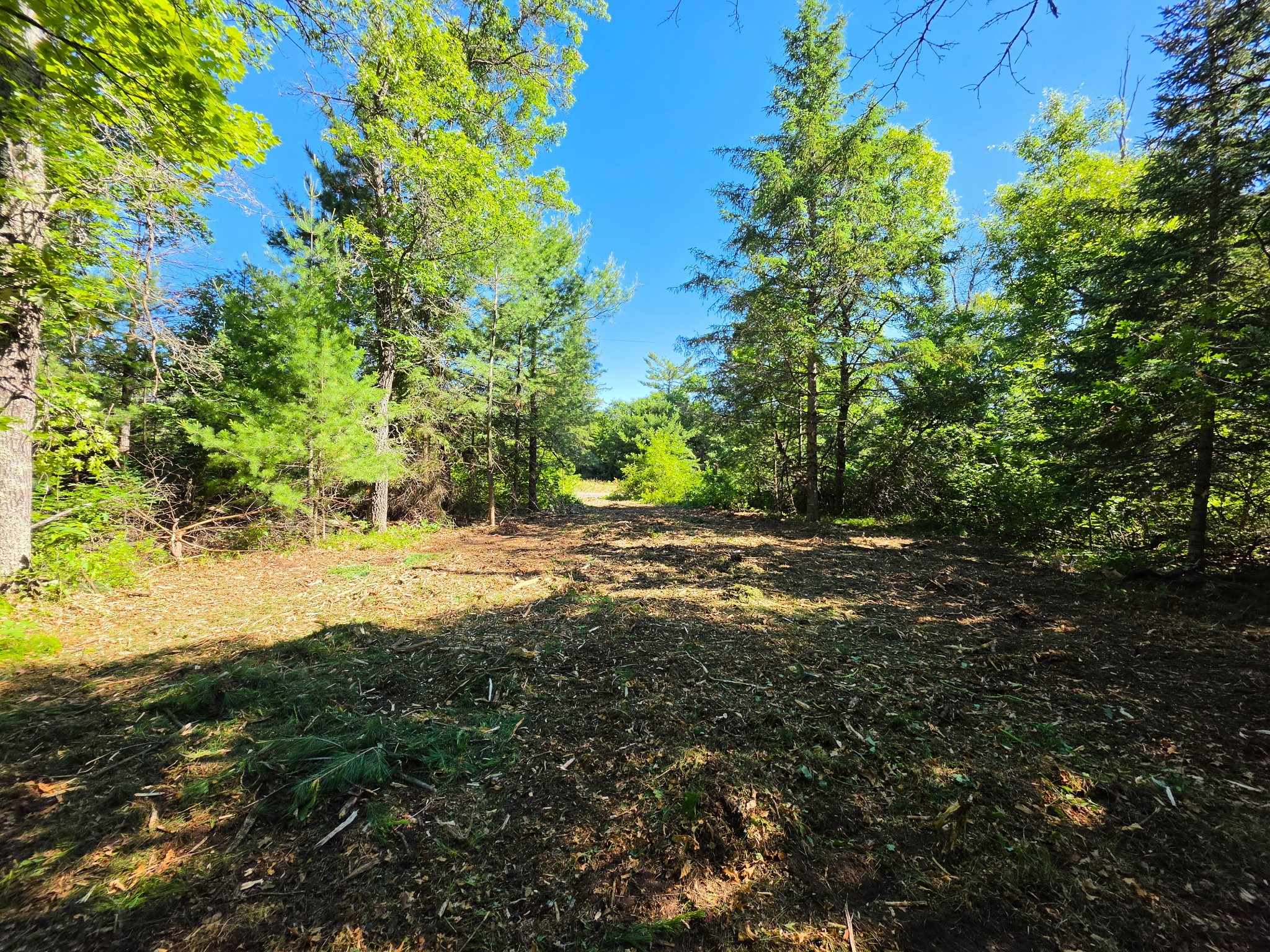 Lot 3 County Road T Property Photo 5