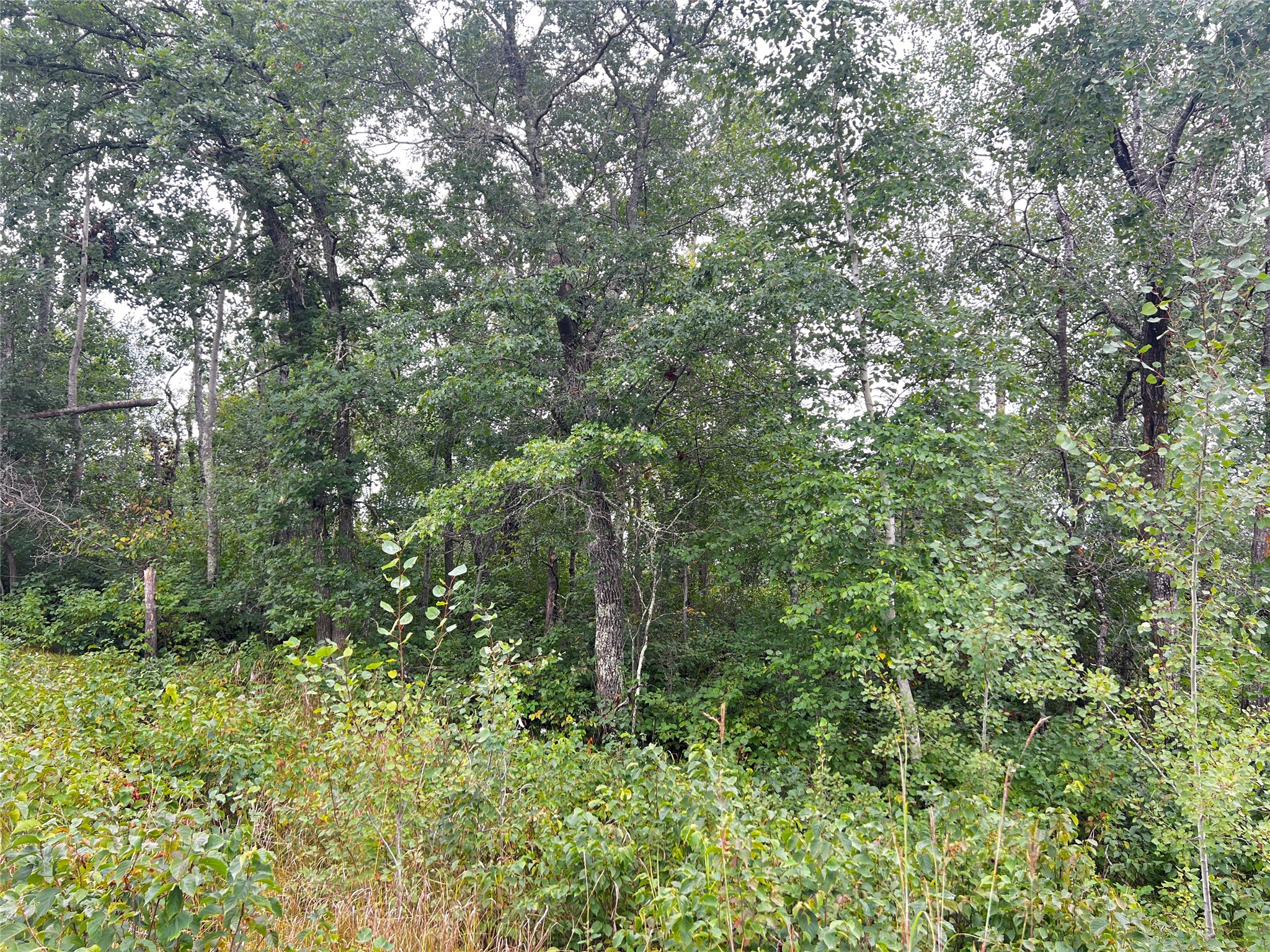 Lot 3 County Road T Property Photo 8