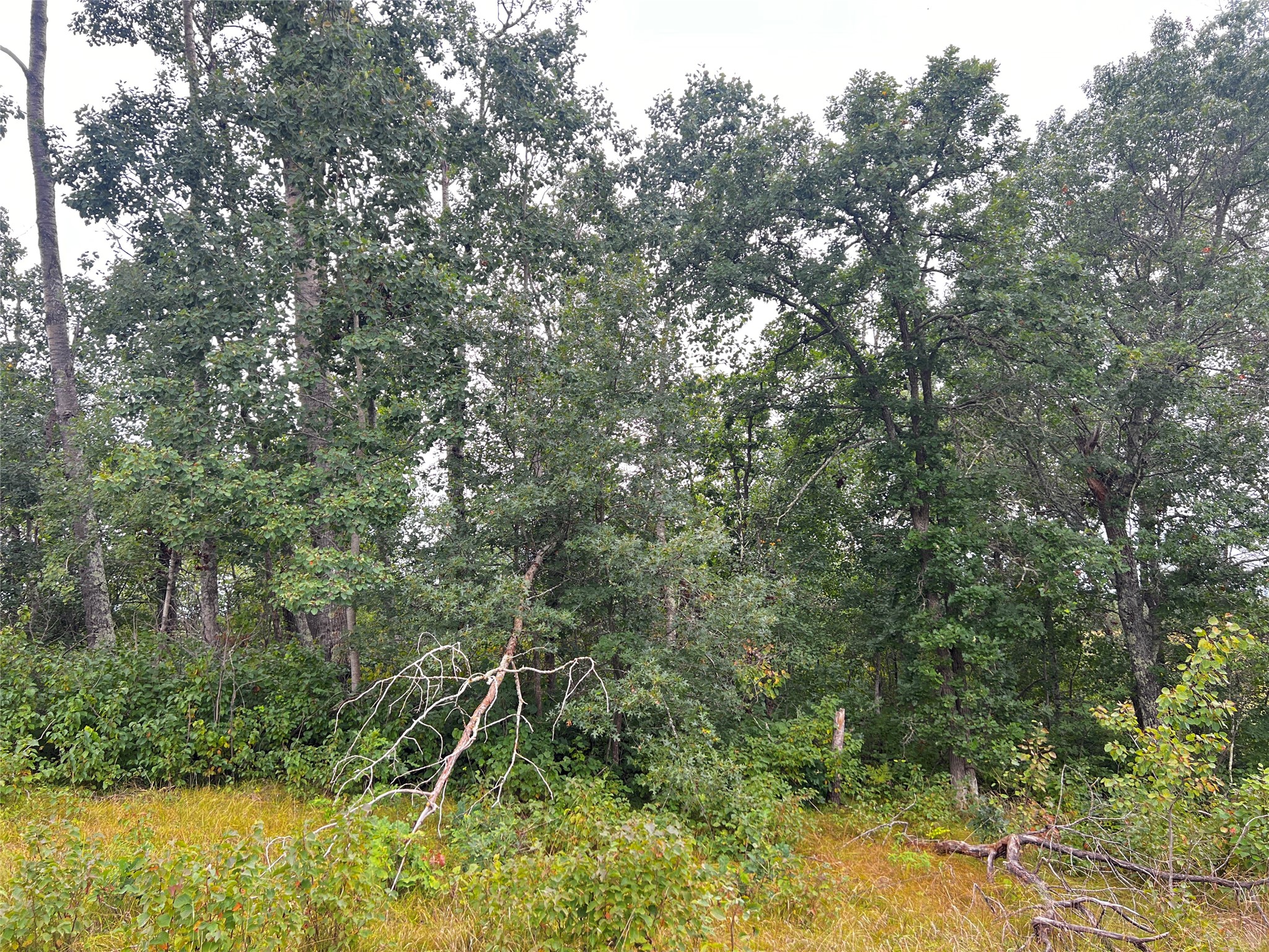 Lot 3 County Road T Property Photo 10