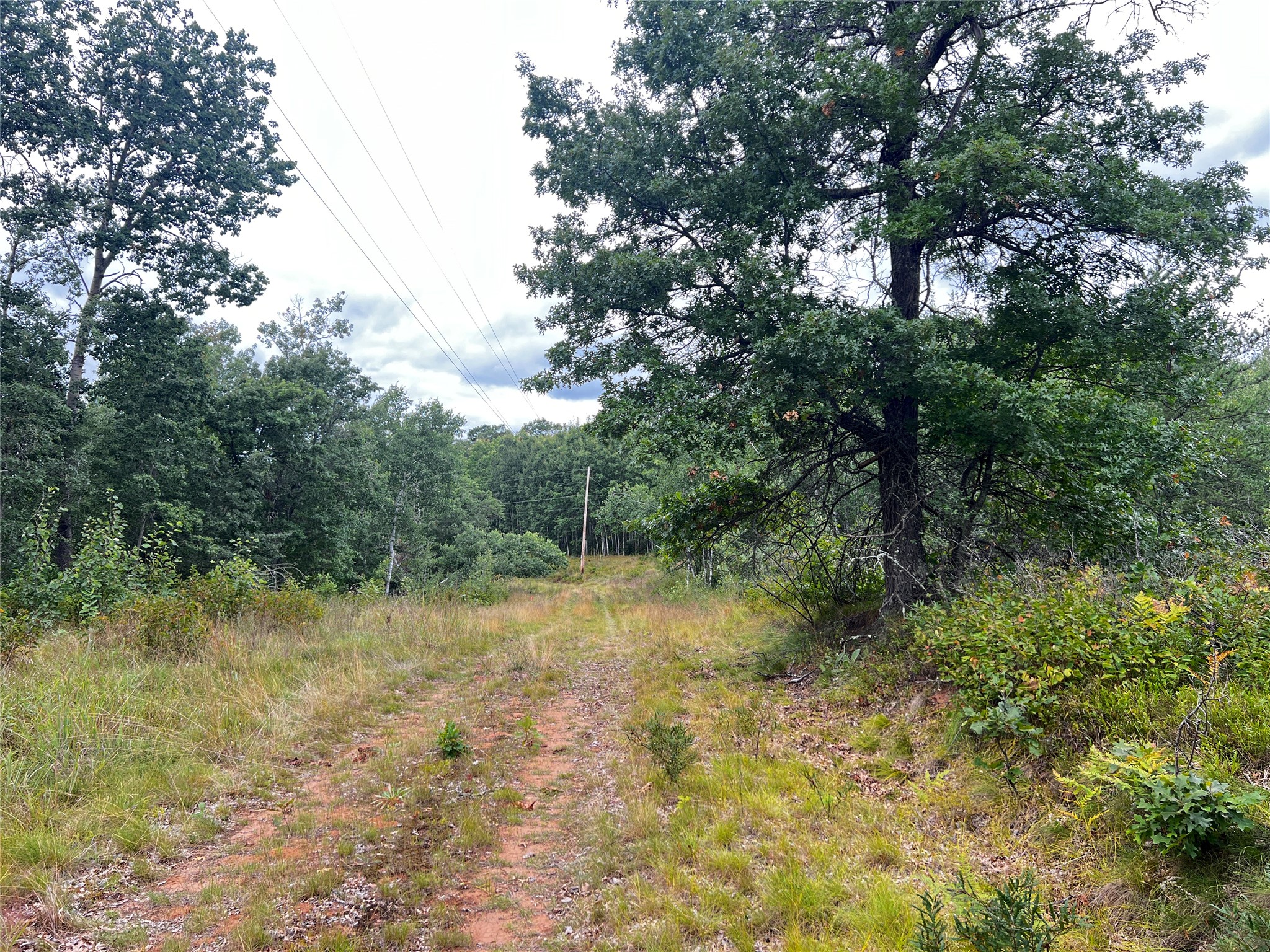 Lot 3 County Road T Property Photo 13