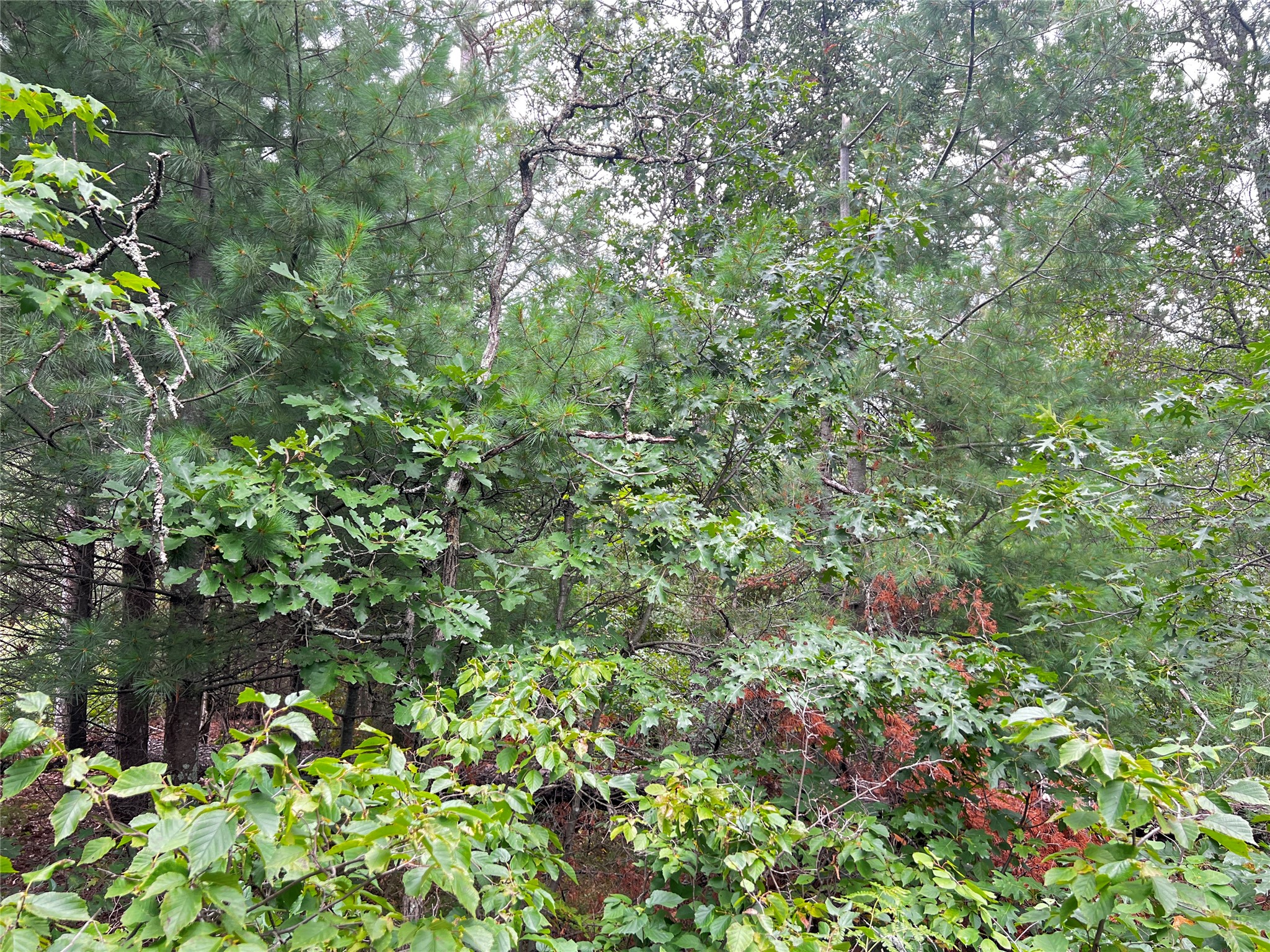 Lot 3 County Road T Property Photo 15